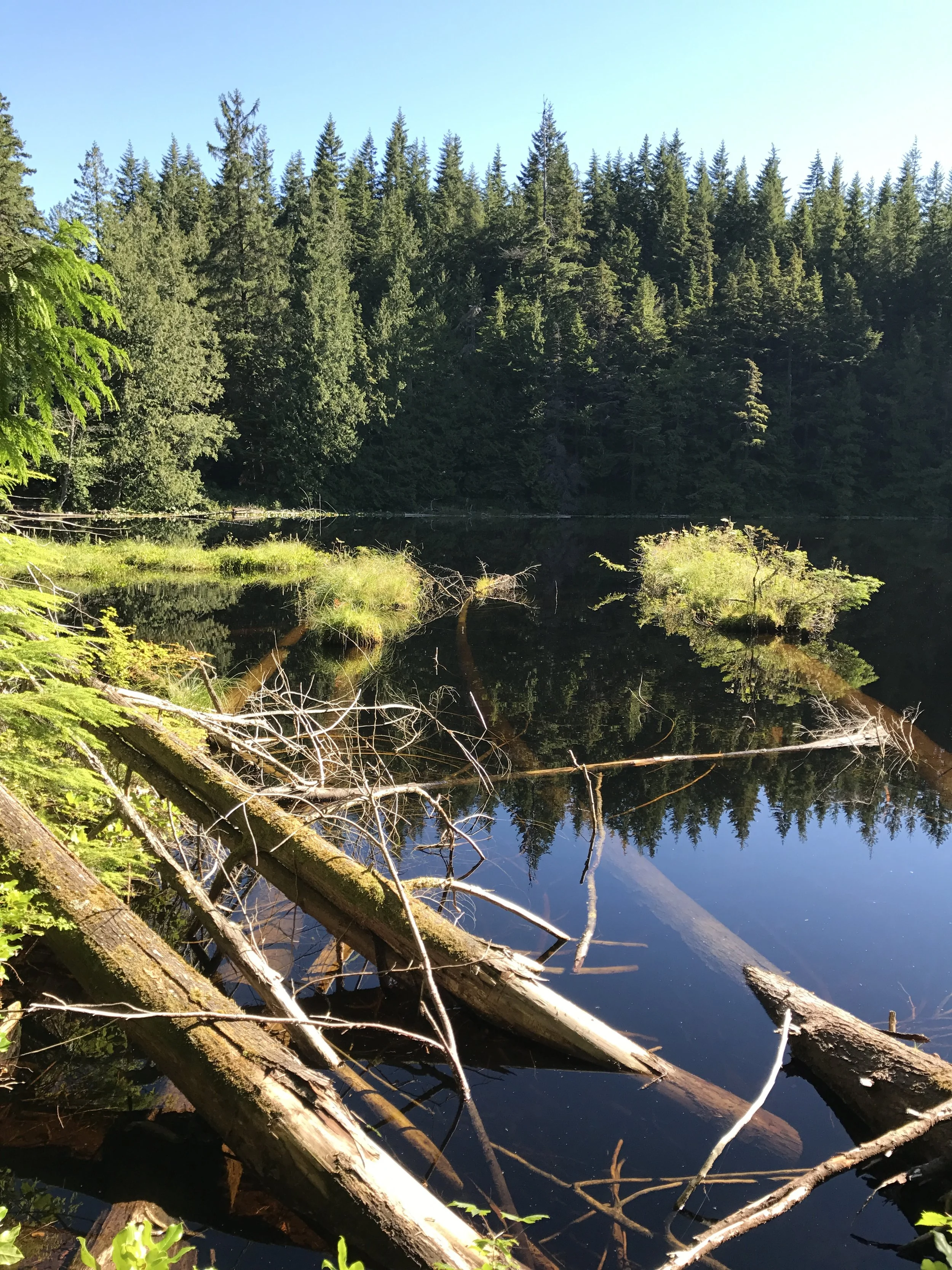 Cedar Lake from N Chuckanut via Raptor Ridge-Level 1.5