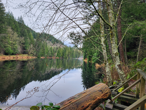Squires Lake - Level 4