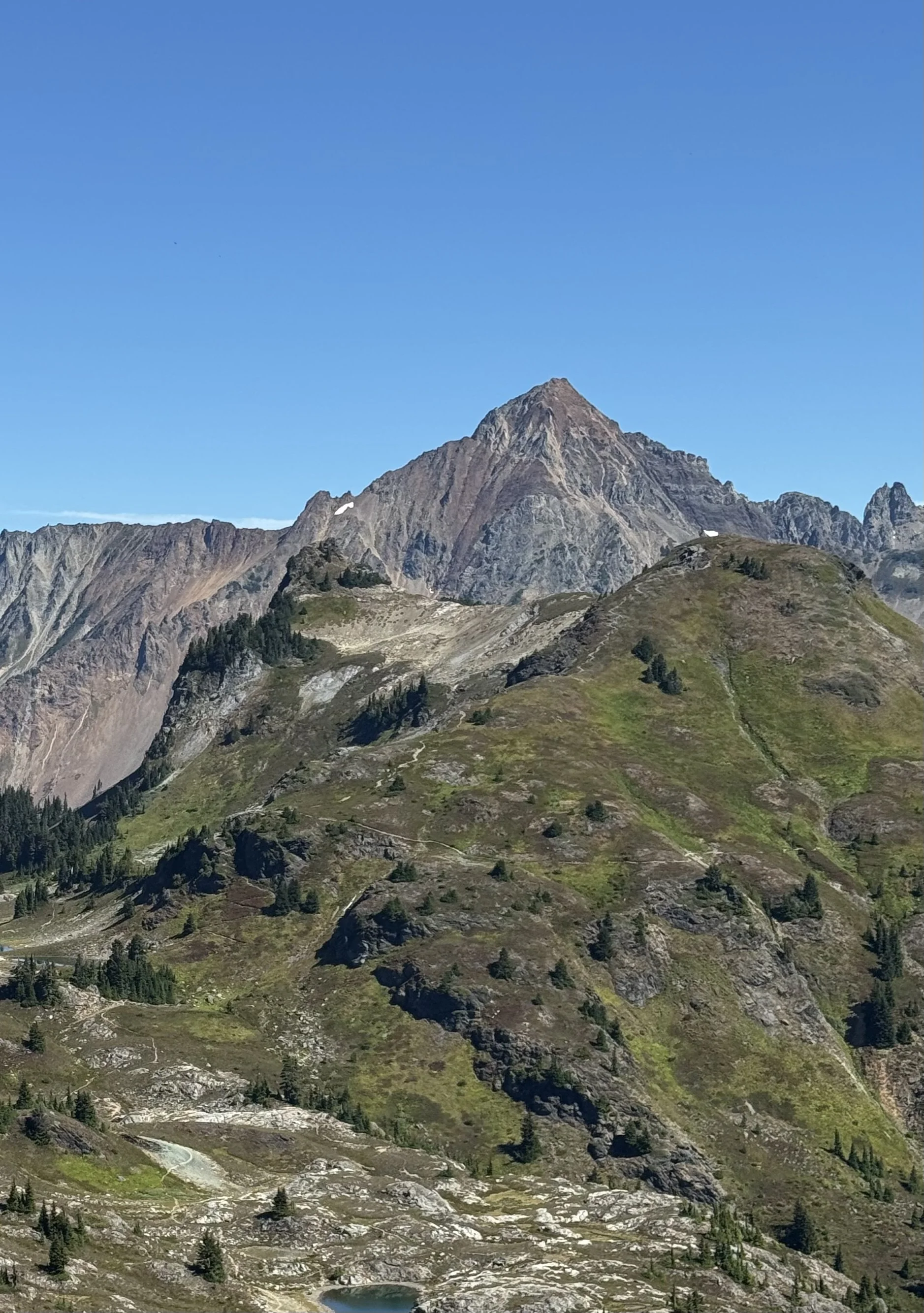 Yellow Aster Butte-Level 1.5