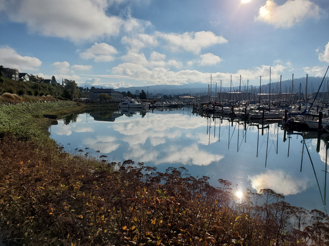 Squalicum Harbor and Marina from Coho Way Parking - Level 4