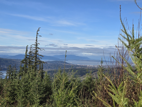 Olsen Creek to First Overlook - Level 3