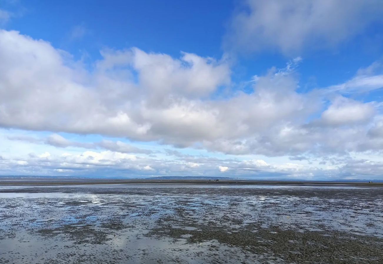 Boundary Bay Dike, BC (Bring ID!) - Level 4
