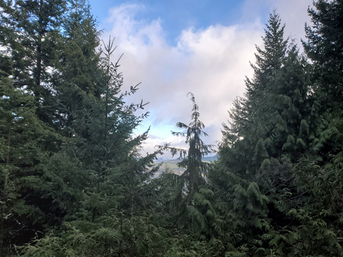 Madrone Crest from N Chuckanut TH-Level 2