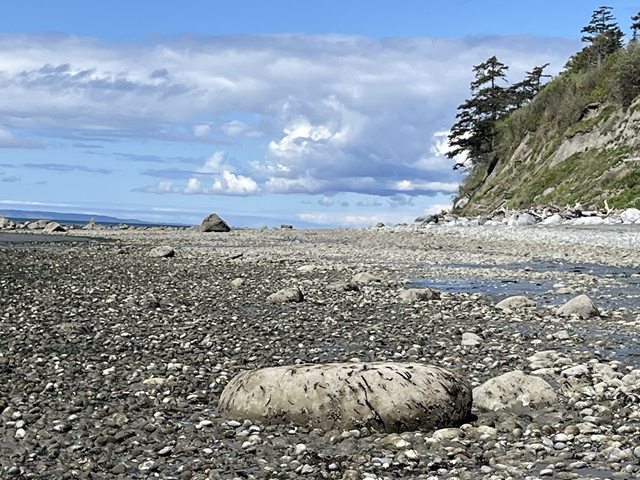 Point Whitehorn - Level 4