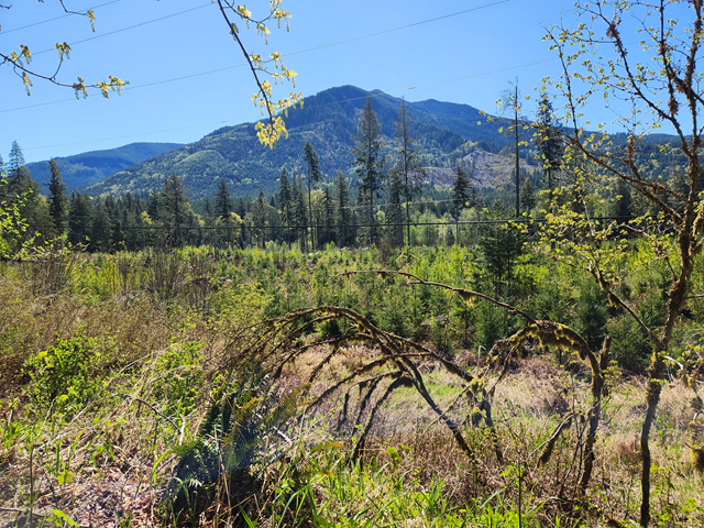 Bay to Baker Trail - Level 4
