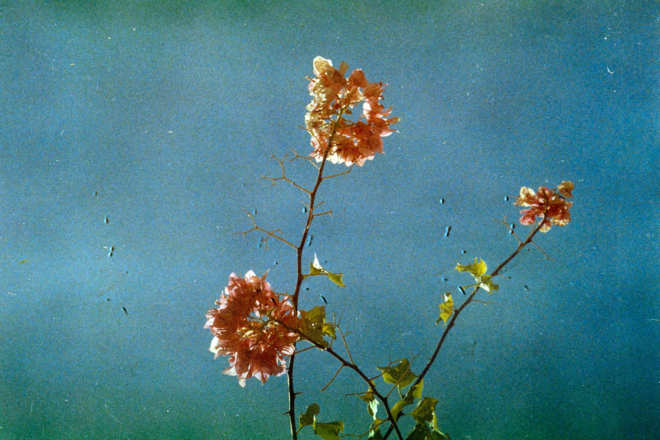 C200-173.jpg