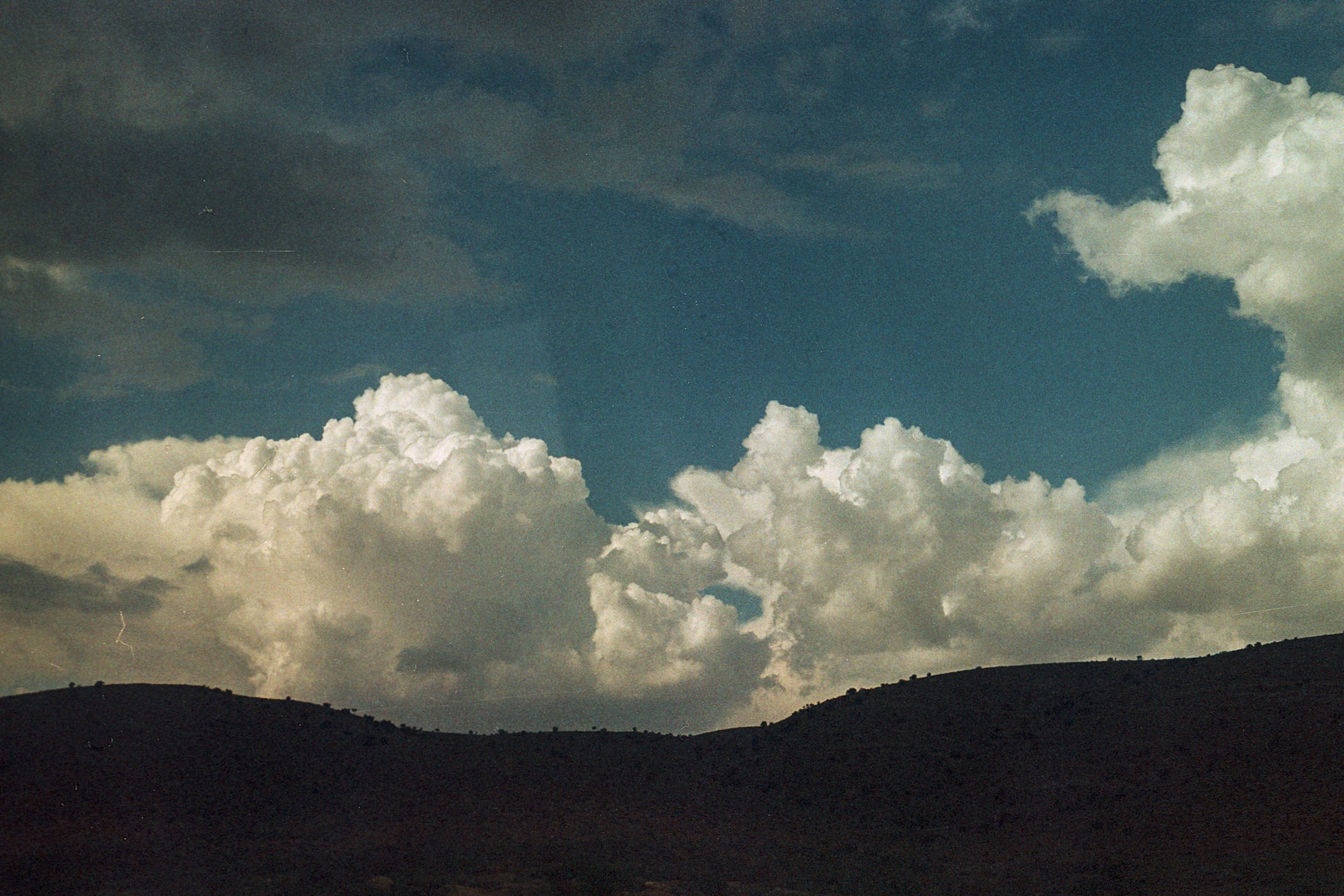 ZMG-186.jpg