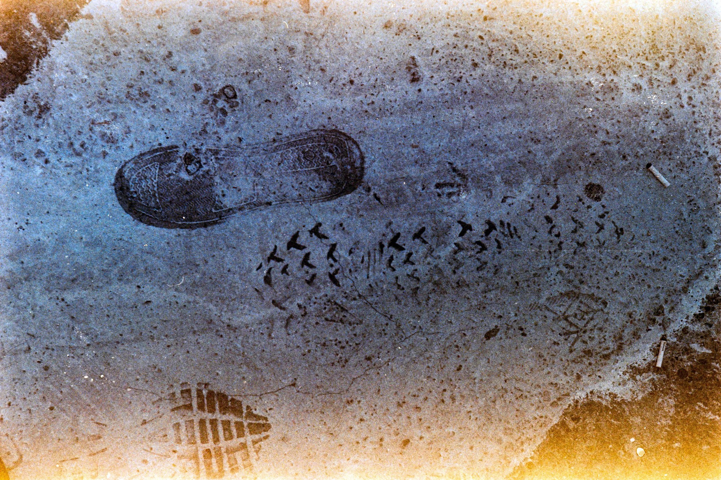 C200-56.jpg