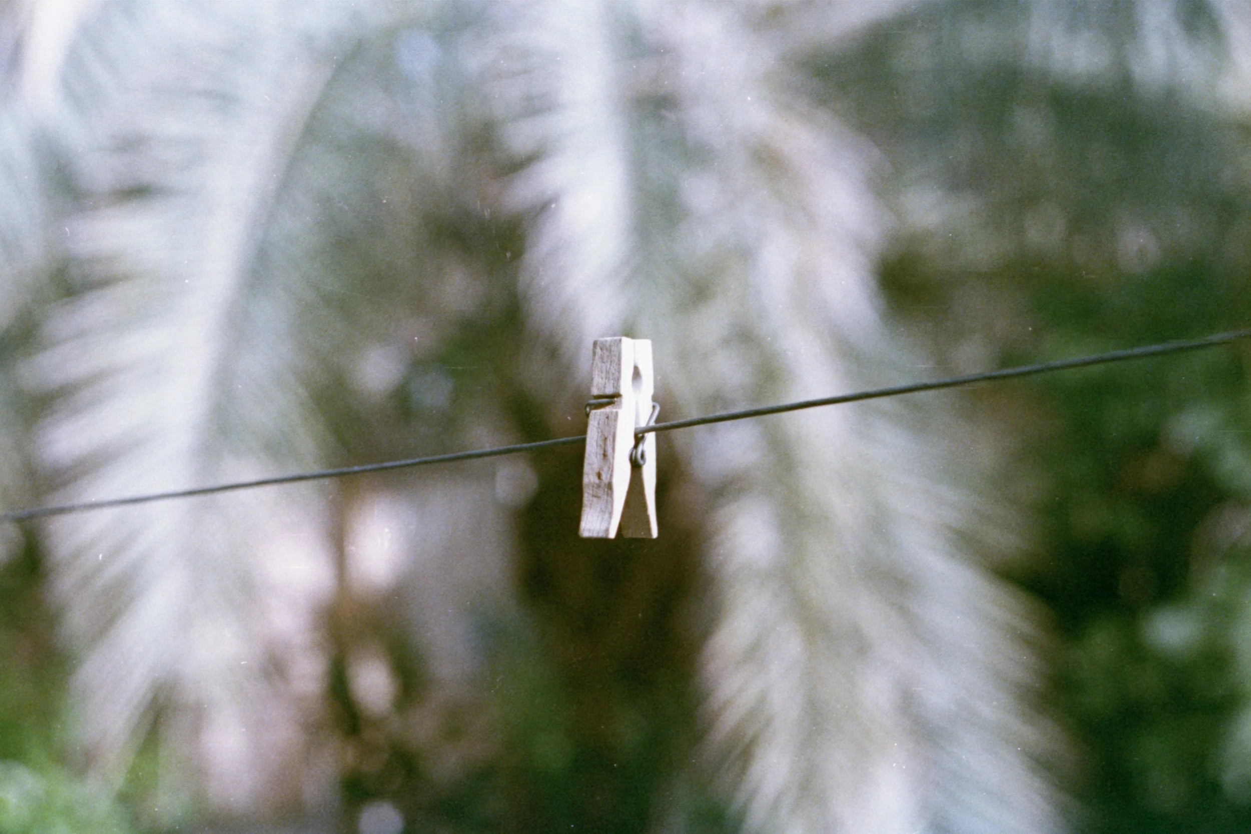 KODAK VISION 2 EXPRESSION (17) .jpg