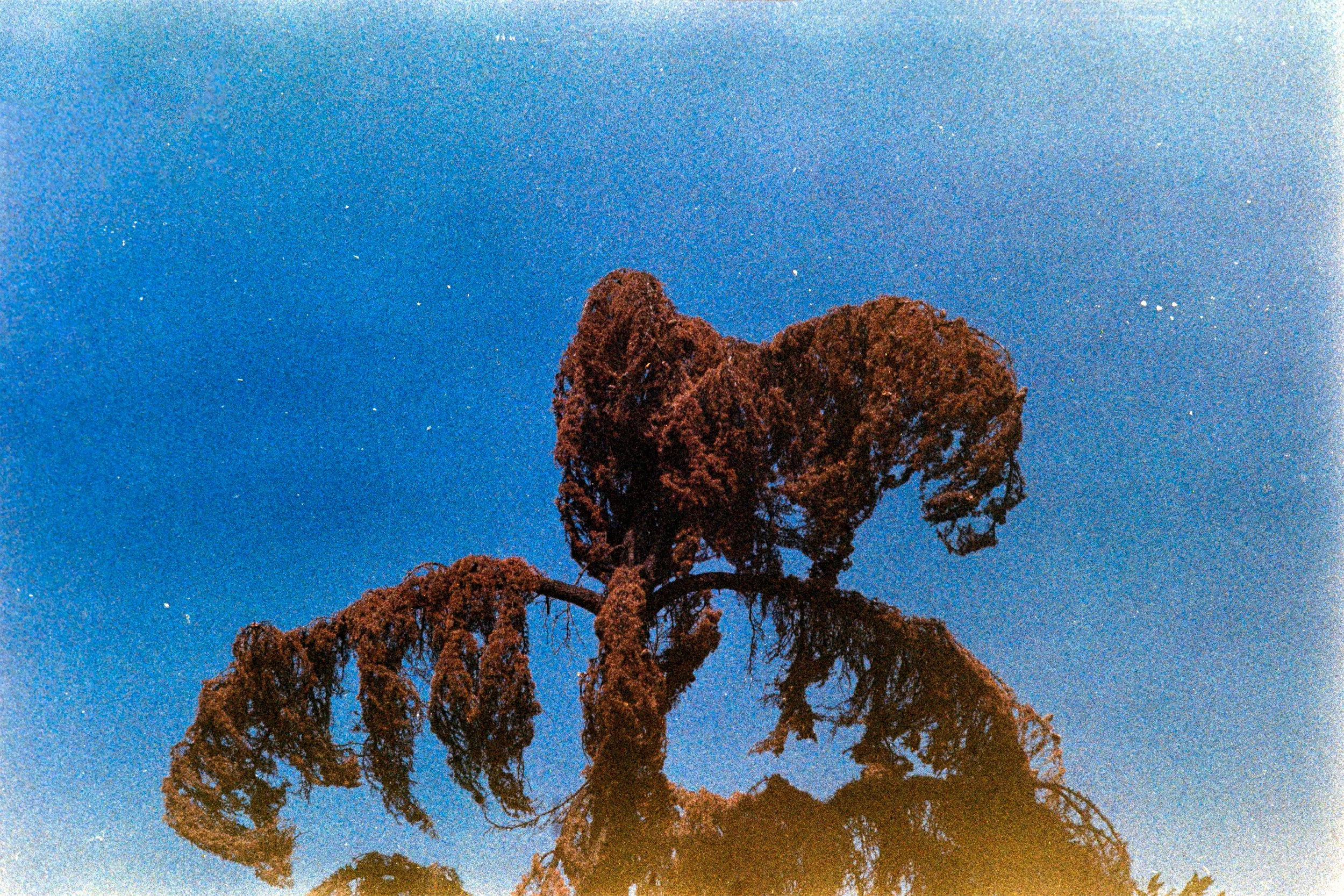 C200-28.jpg