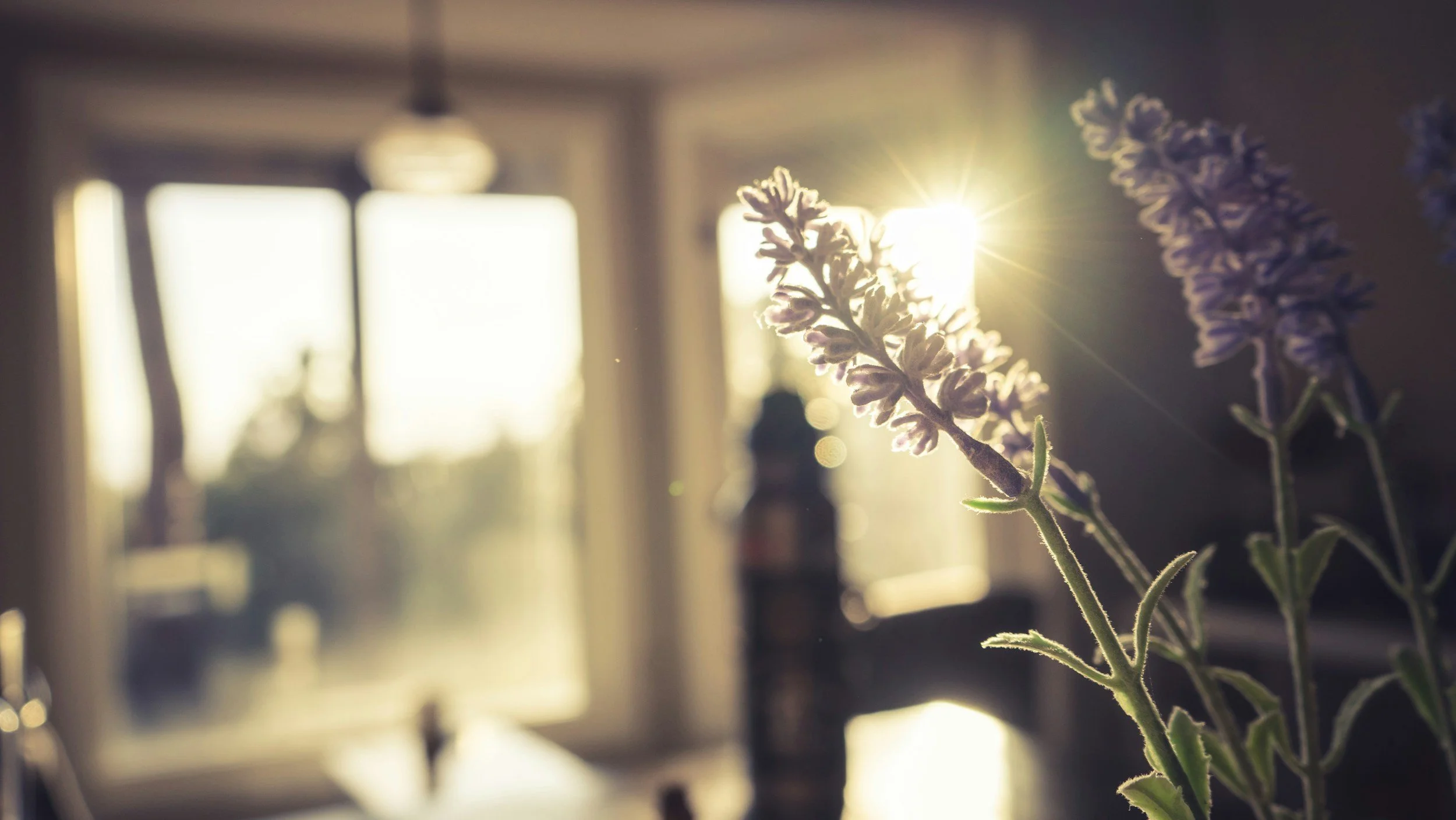 A New Season of Growth
