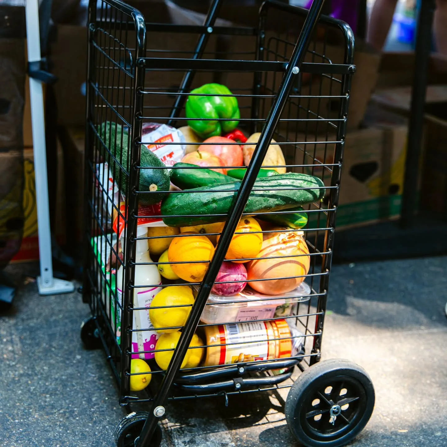 Did You Know? 🤔 | Fun Fact Friday

We love sharing the "Why" behind the "What." Today&rsquo;s fun fact is all about the sheer scale of food waste. The Fact: Did you know that in the United States, we throw away enough food every 