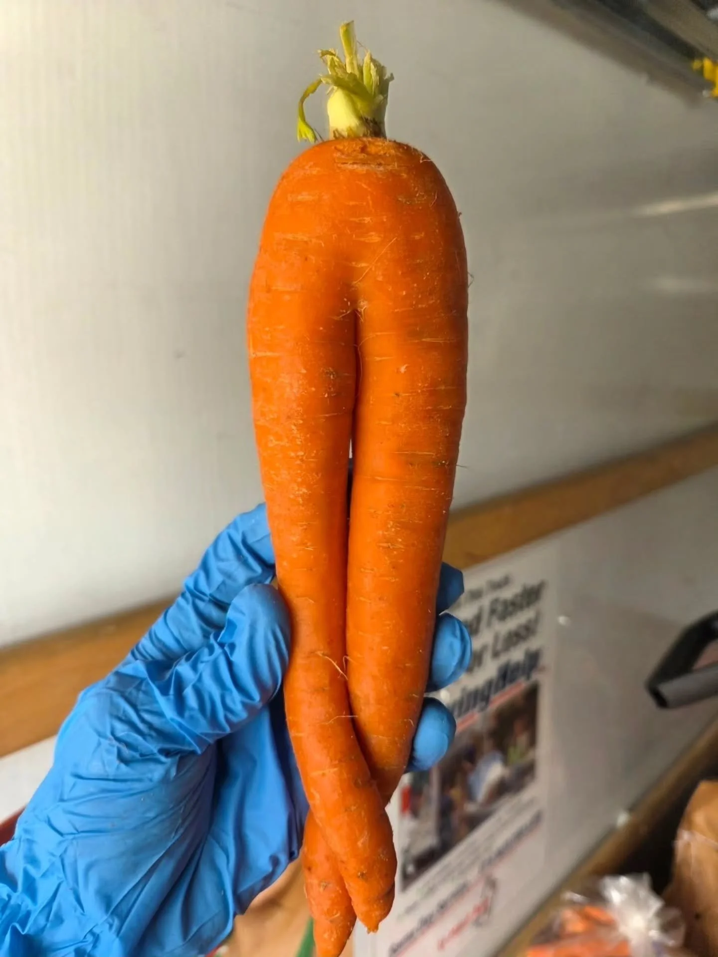 The "Hidden" Climate Solution 🌍 | Fun Fact Friday

​When you think of fighting climate change, you might think of solar panels or electric cars. But did you know that one of the most powerful tools we have is sitting right on our dinner pl