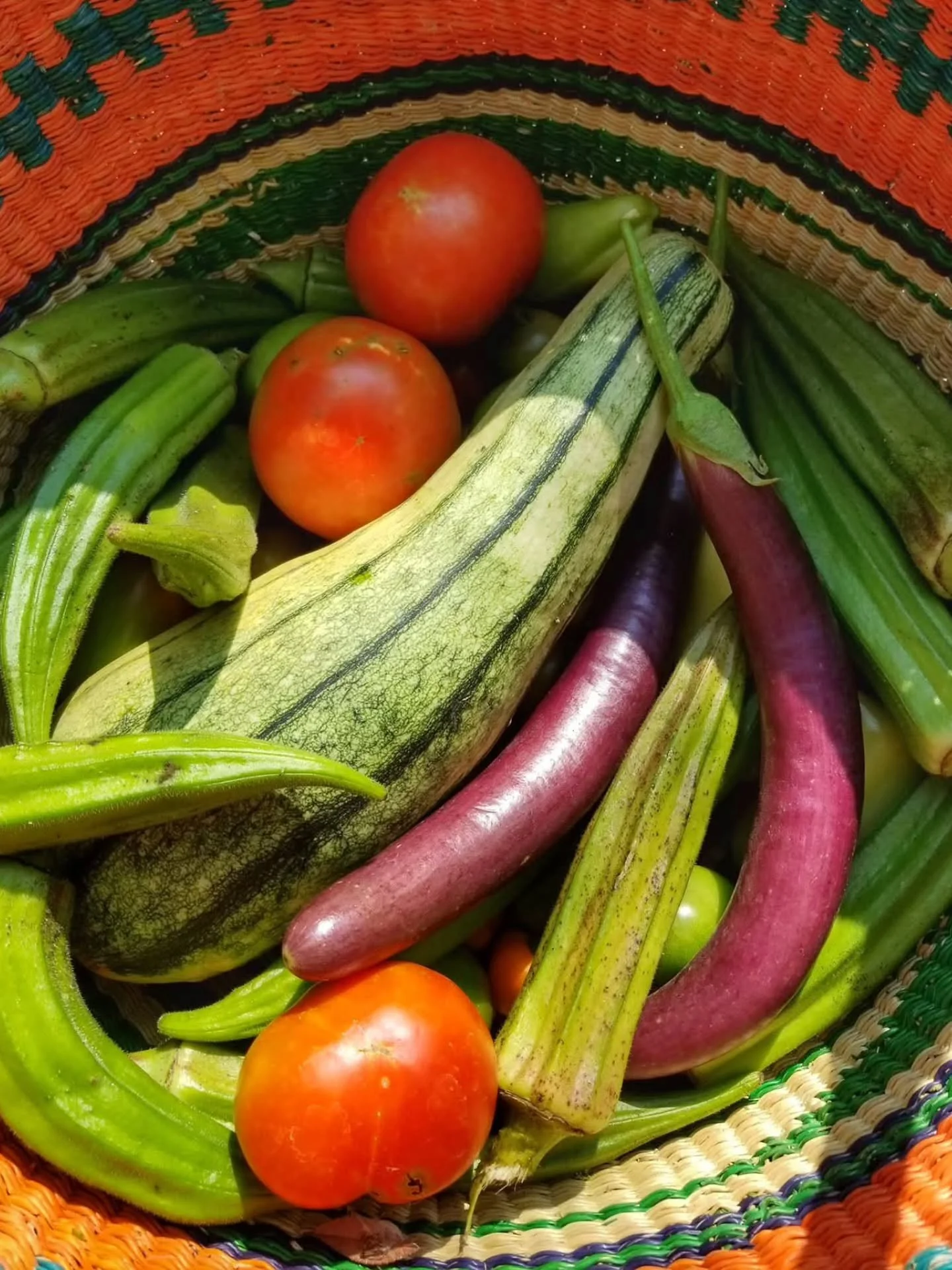Eat the Rainbow 🌈 | Fun Fact Friday

​We all know vegetables are good for us, but at Nourish LA, we see them as a vital community resource.

​Did you know that the different colors in your produce represent different phytonutrients that protect your