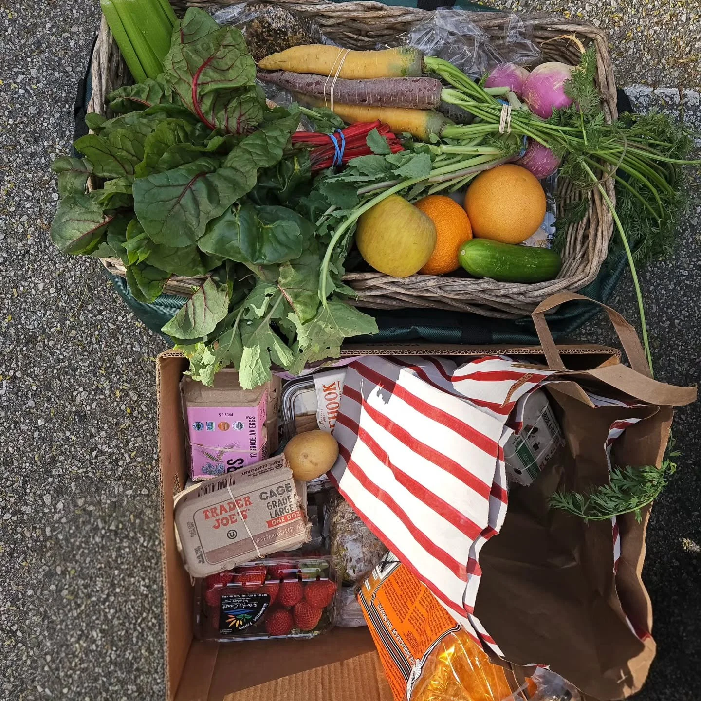 More Than a Meal. It&rsquo;s a Climate Mission 🌎💥 | Fun Fact Friday

​Most people see a bag of groceries. We see a "Methane Monster" being stopped in its tracks.

​Did you know that when food ends up in a landfill, it doesn't just "g