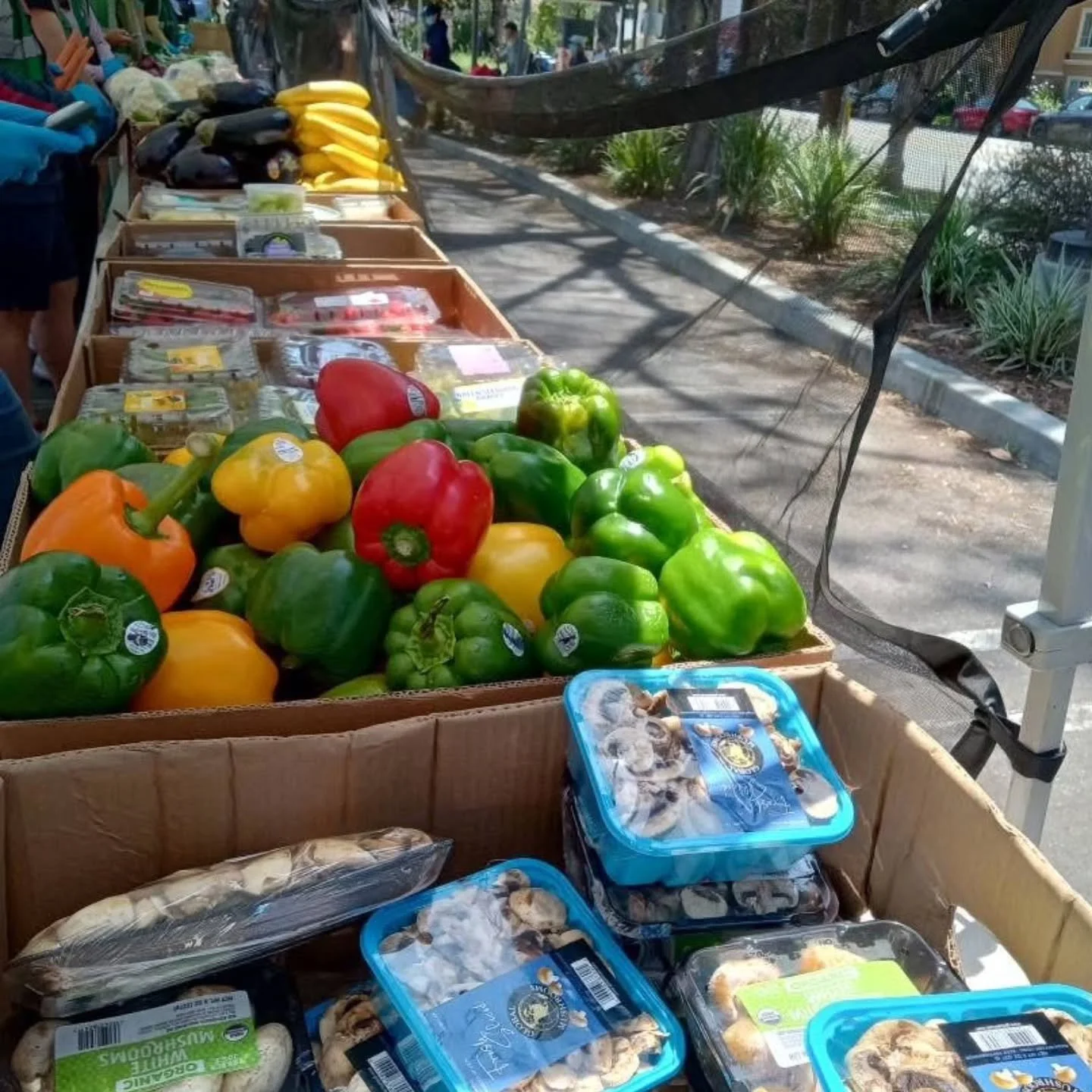 Eat the Rainbow. Save the Planet. 🌈🥦 | Fun Fact Friday

It&rsquo;s National Nutrition Month, and at Nourish LA, we don&rsquo;t just move calories&mdash;we move nutrients. Did you know that the different colors in your vegetables aren't just for sho
