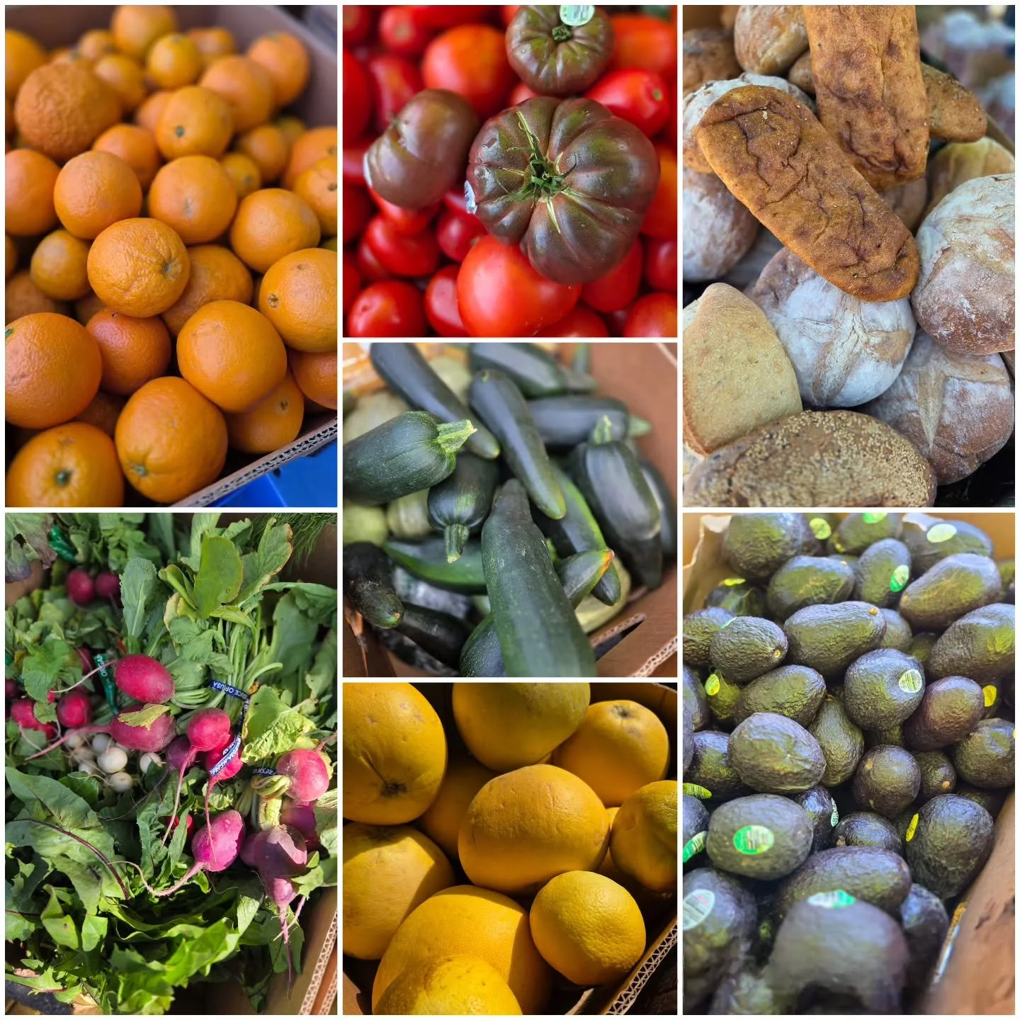 More Than a Handout. A Curated Experience 🍎✨ | Fun Fact Friday

​It&rsquo;s Volunteer Appreciation Month, and today we&rsquo;re highlighting the "Eye" of our Sunday 75.

Food rescue isn't just about moving weight; it&rsquo;s about Quality 