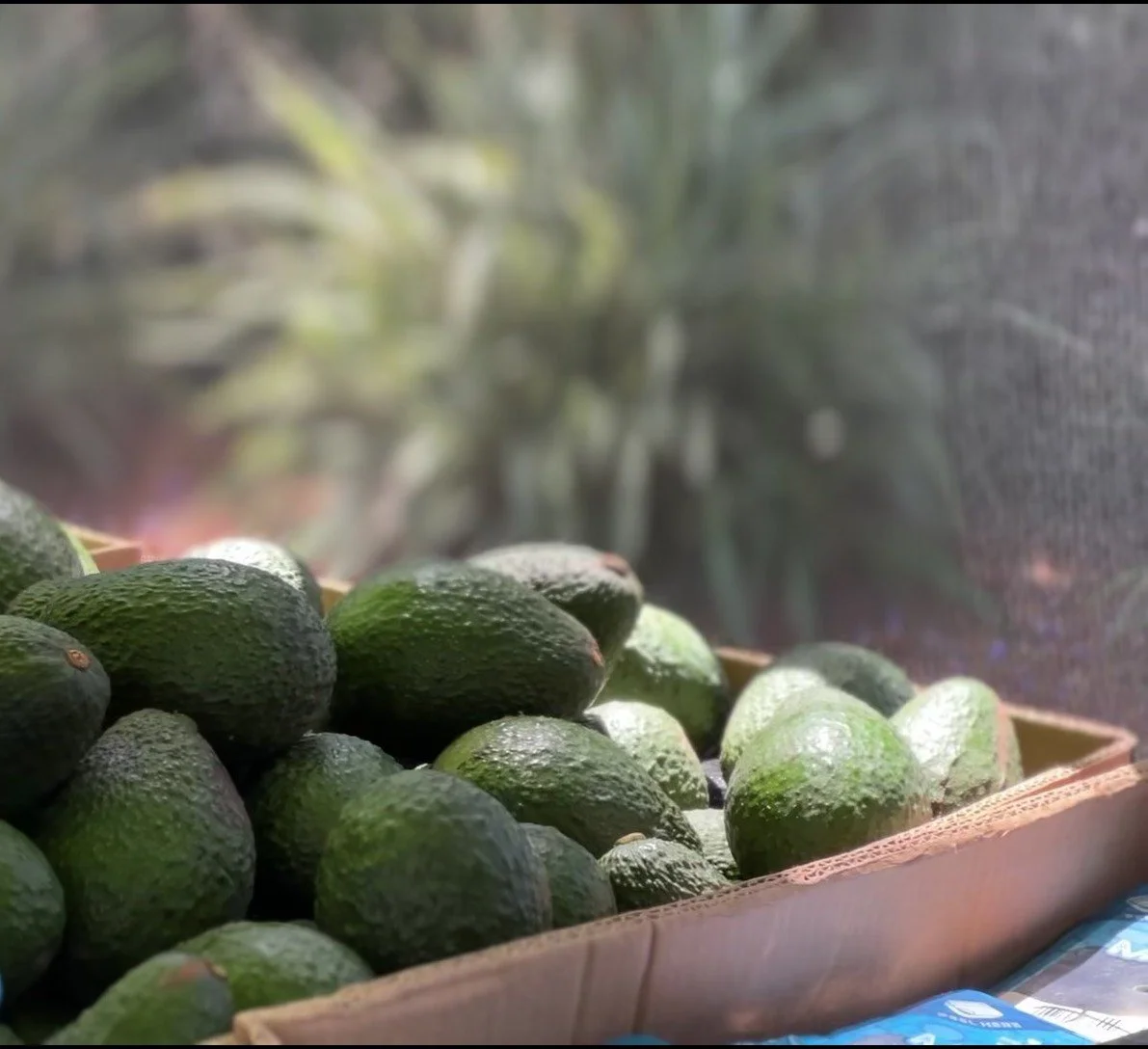 Food Distribution: UCLA University Village