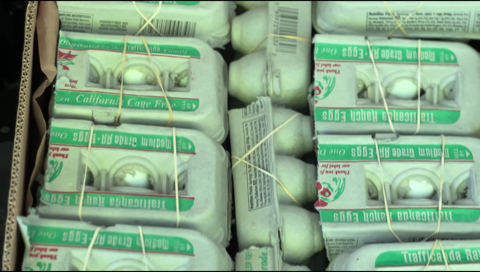 Food Distribution: UCLA University Village