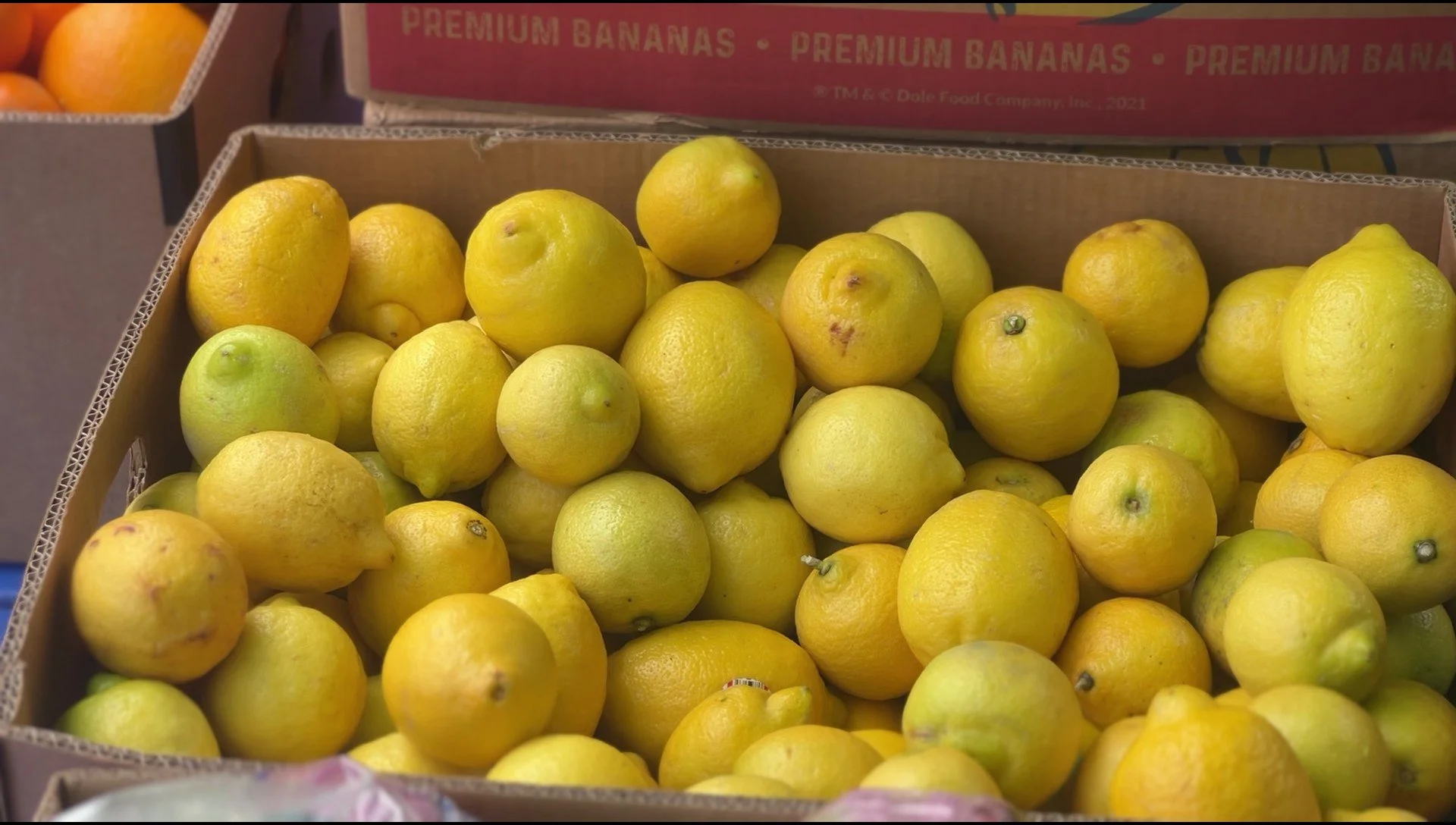 Food Distribution: UCLA University Village