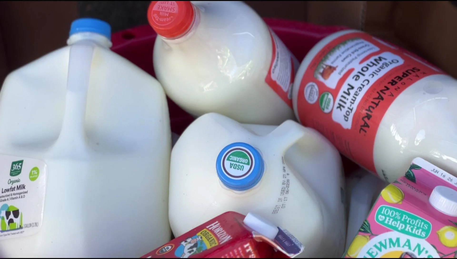 Food Distribution: UCLA University Village