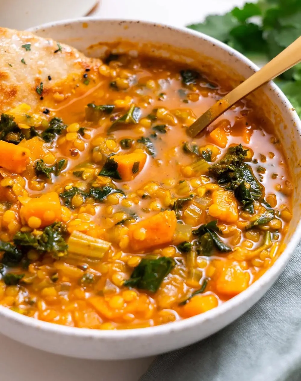 The "Winter Guardian" Root & Lentil Stew