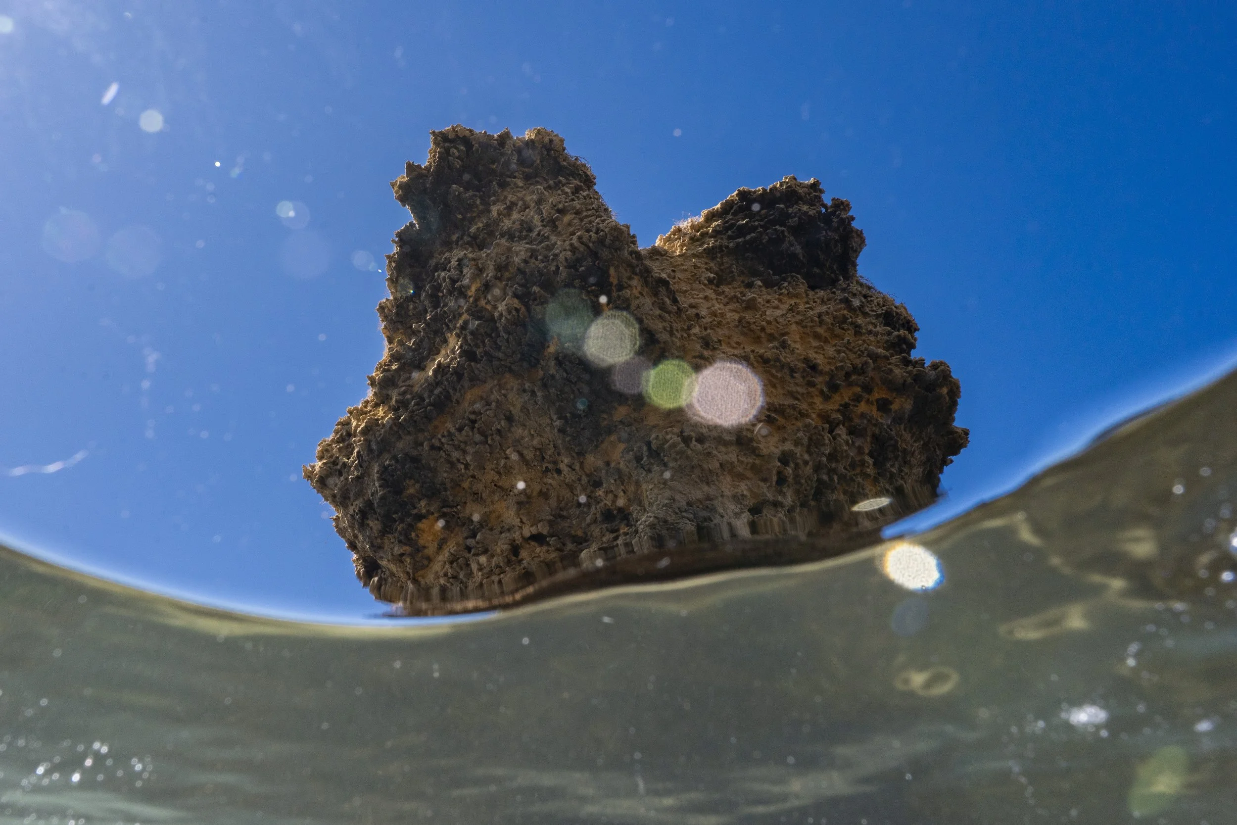 Surfcoast Seascape-35.jpg