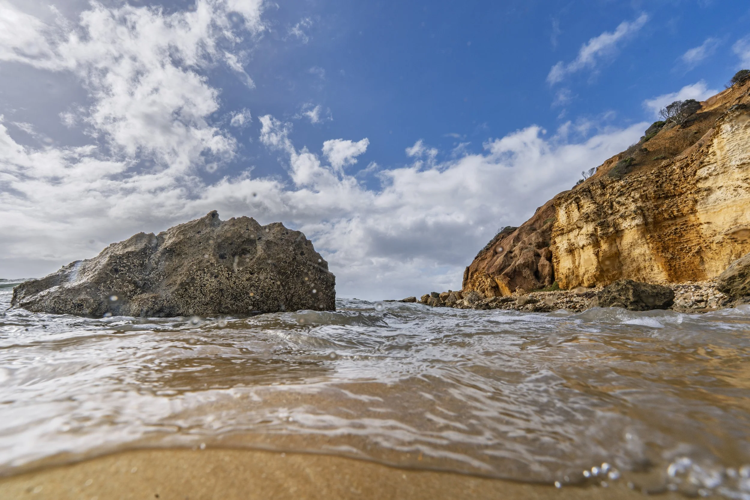 Surfcoast Seascape-52.jpg