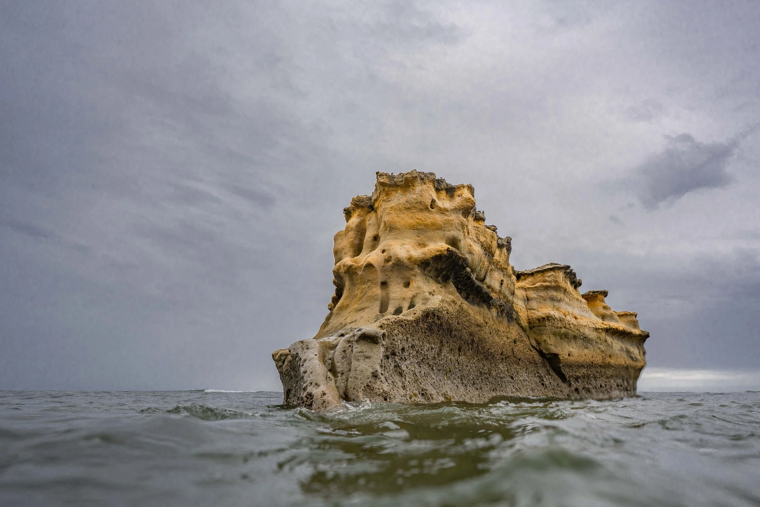 SCLandscape-13.jpg