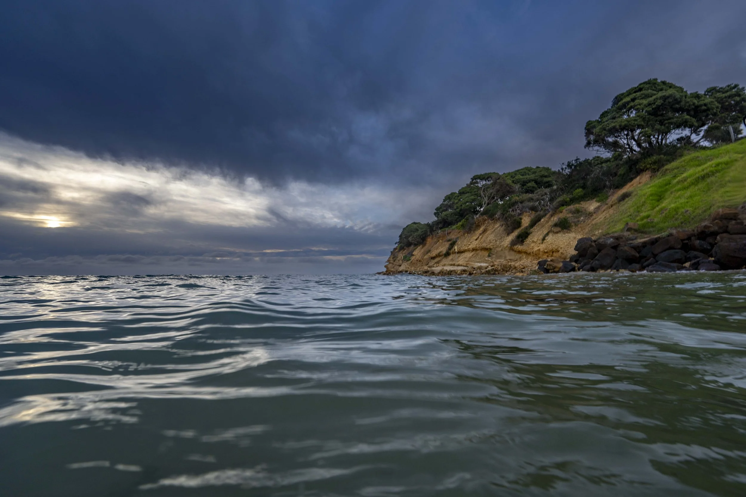 SCLandscape-7.jpg