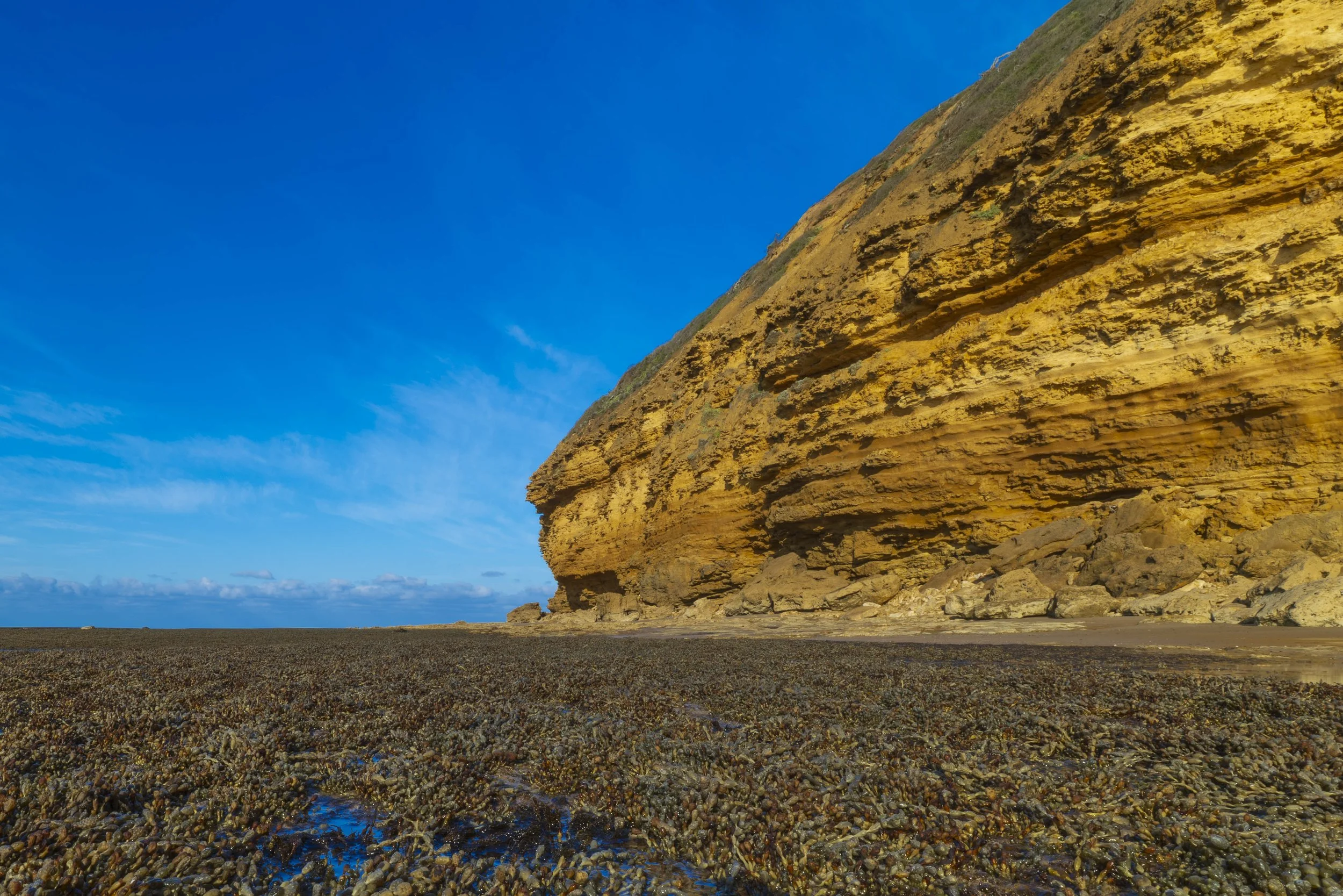 SCLandscape-30.jpg