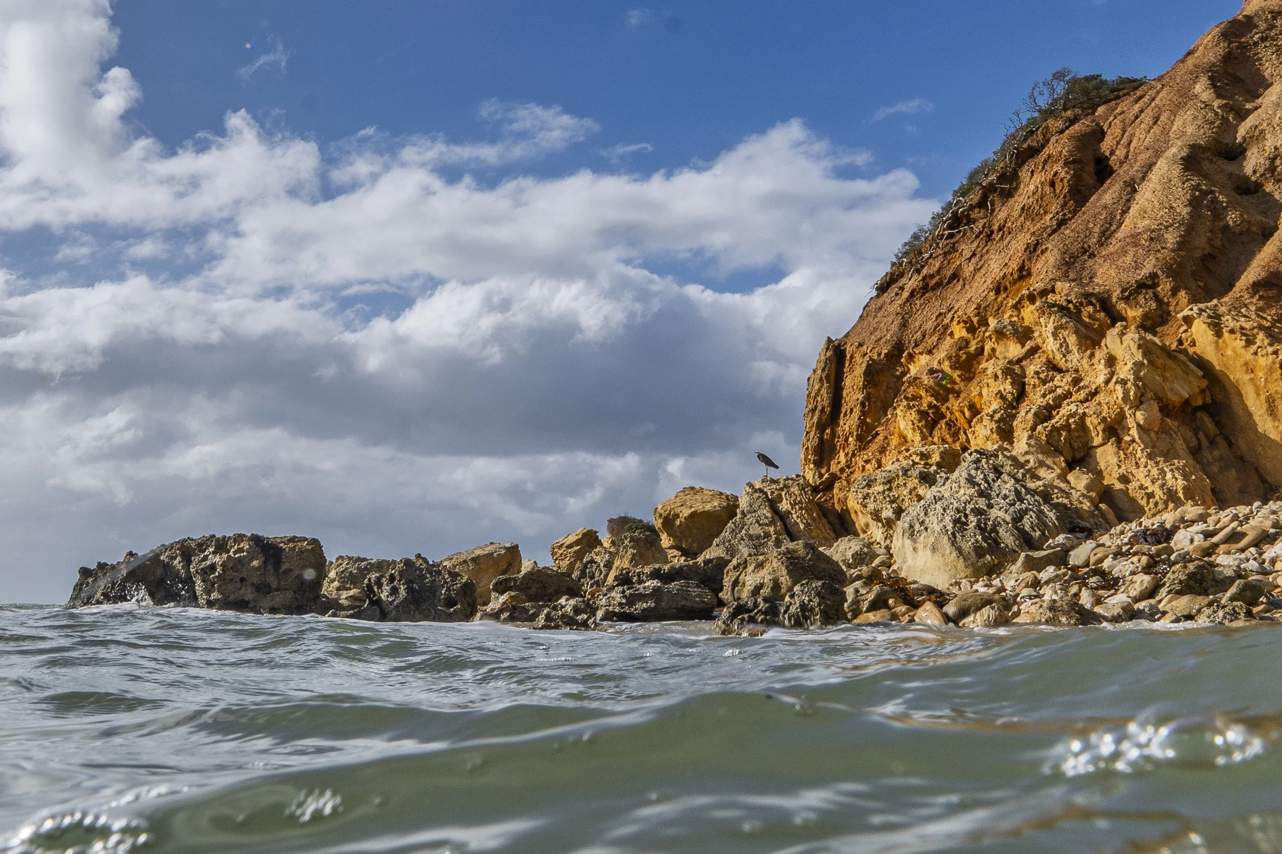 Surfcoast Seascape-53.jpg