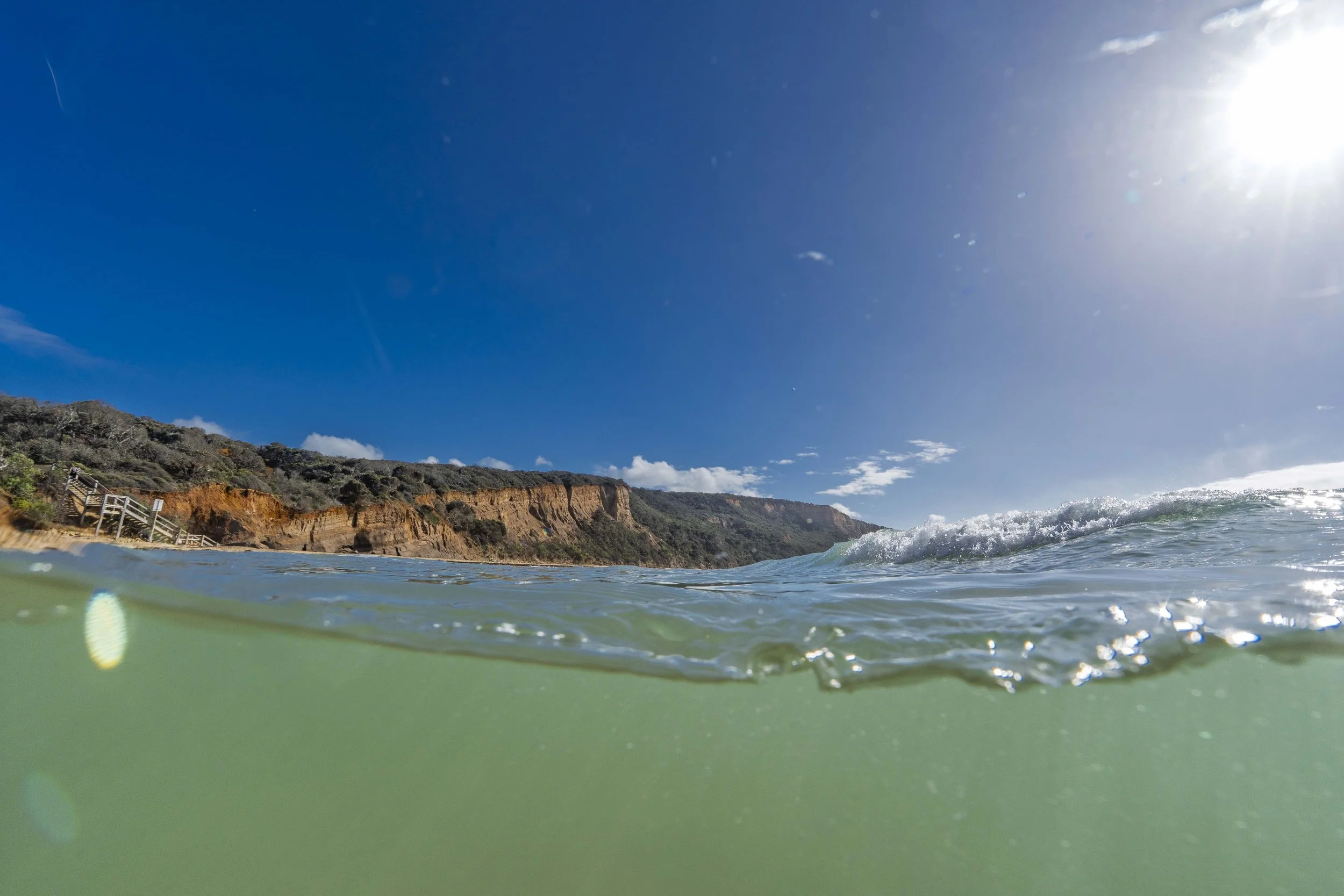 SCLandscape-29.jpg