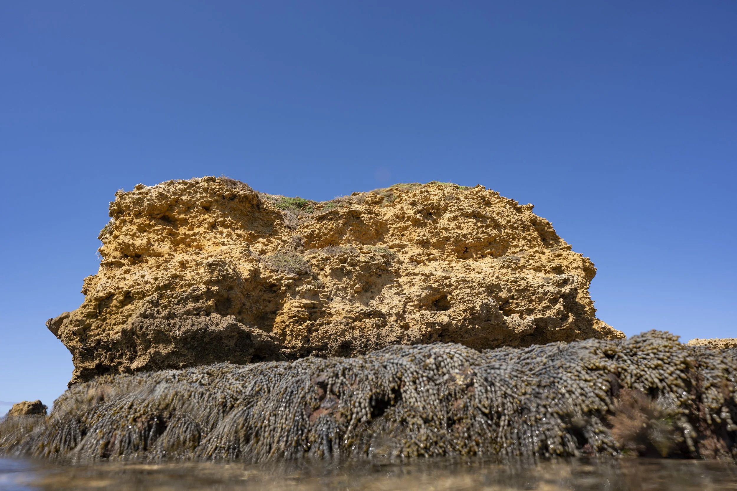 Surfcoast Seascape-30.jpg