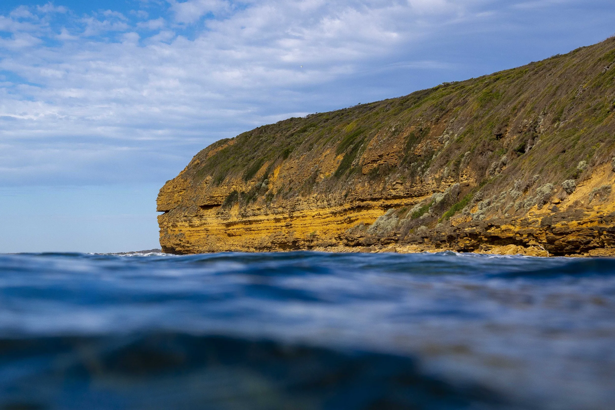SCLandscape-15.jpg