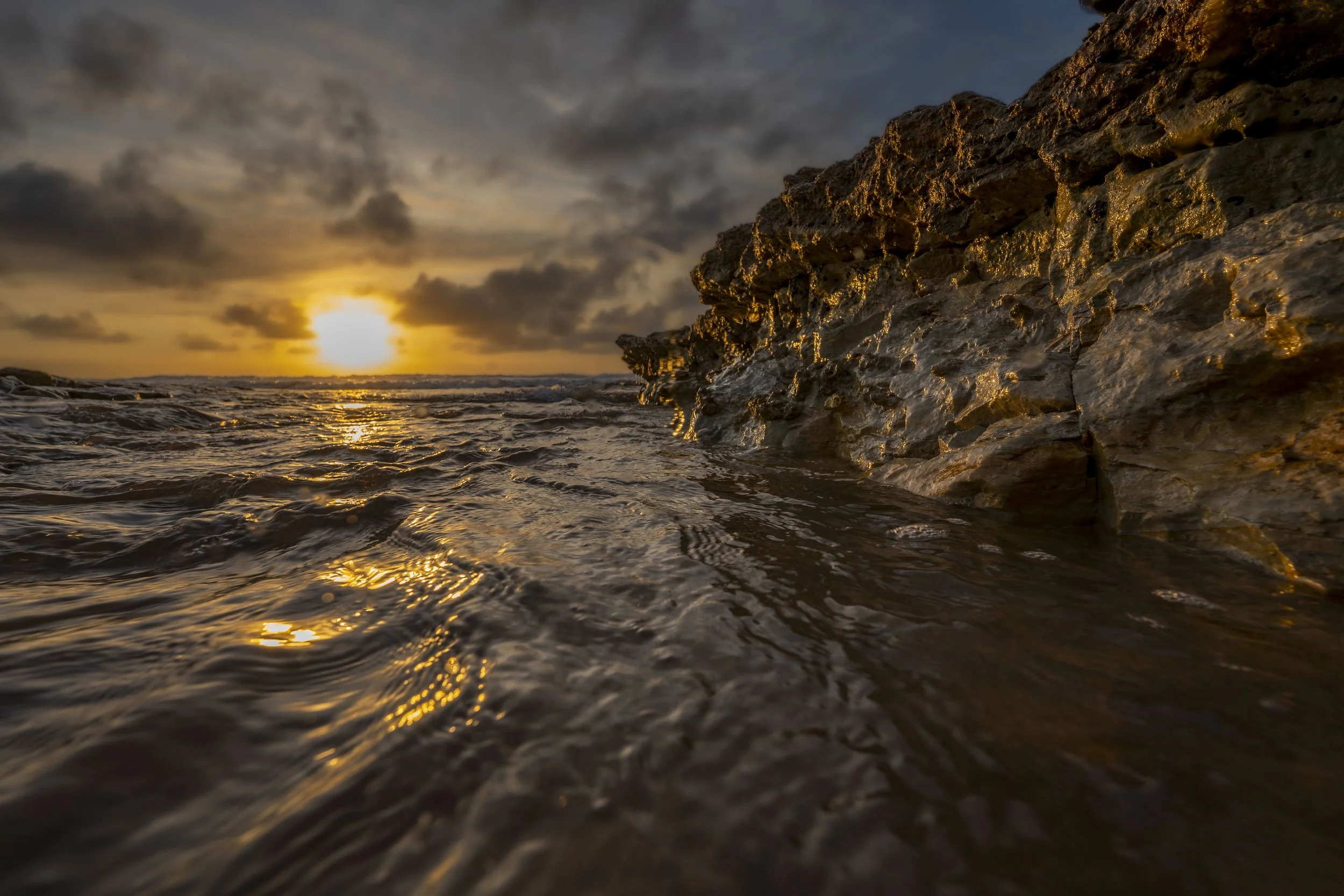 SCLandscape-9.jpg