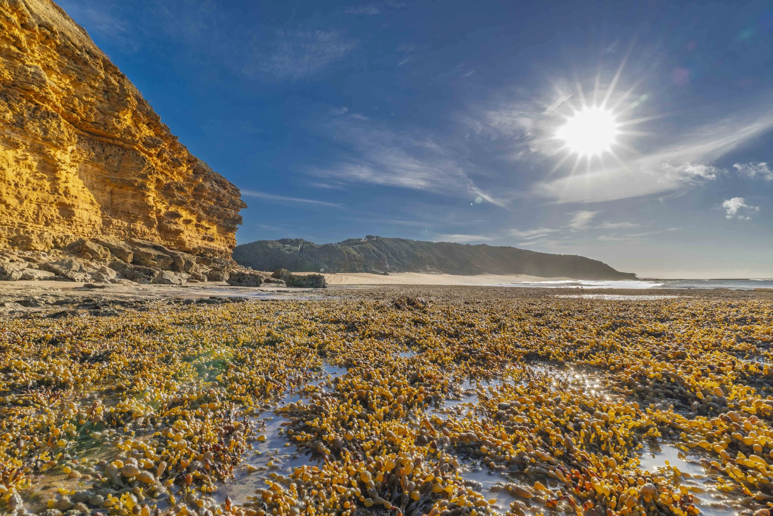 SCLandscape-32.jpg