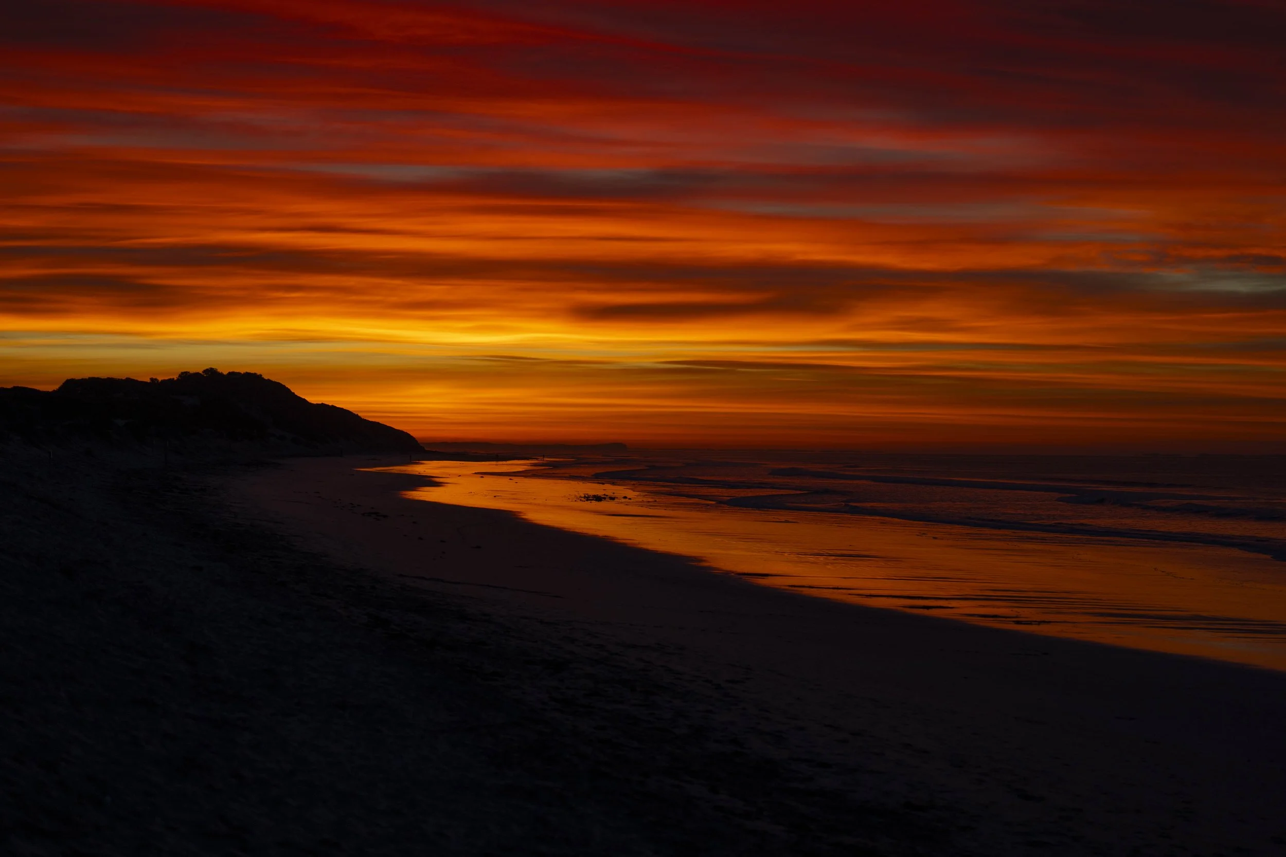 SCLandscape-19.jpg
