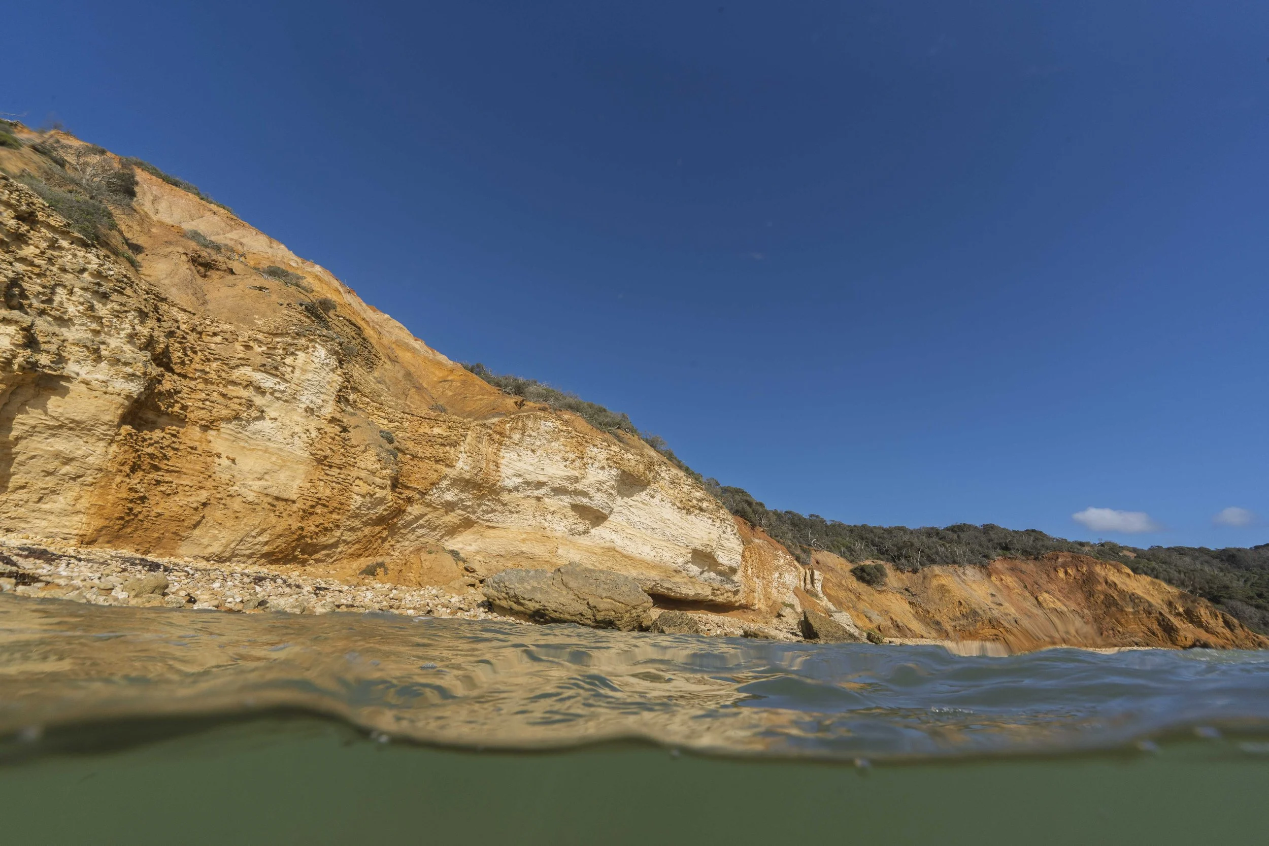 SCLandscape-28.jpg