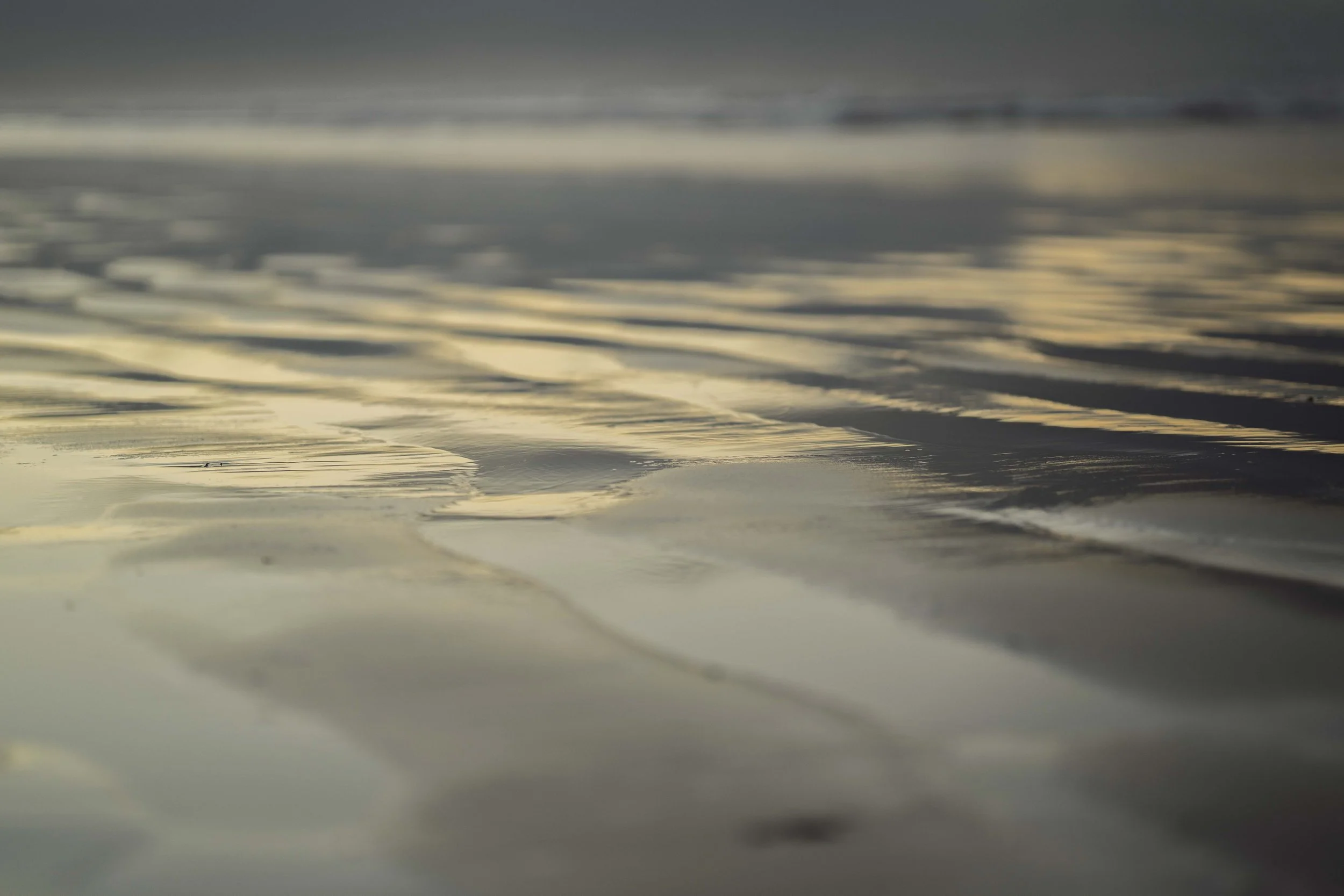 SCLandscape-33.jpg