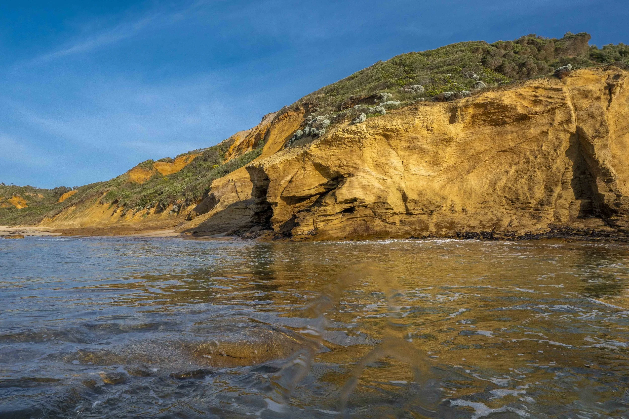 SCLandscape-3.jpg