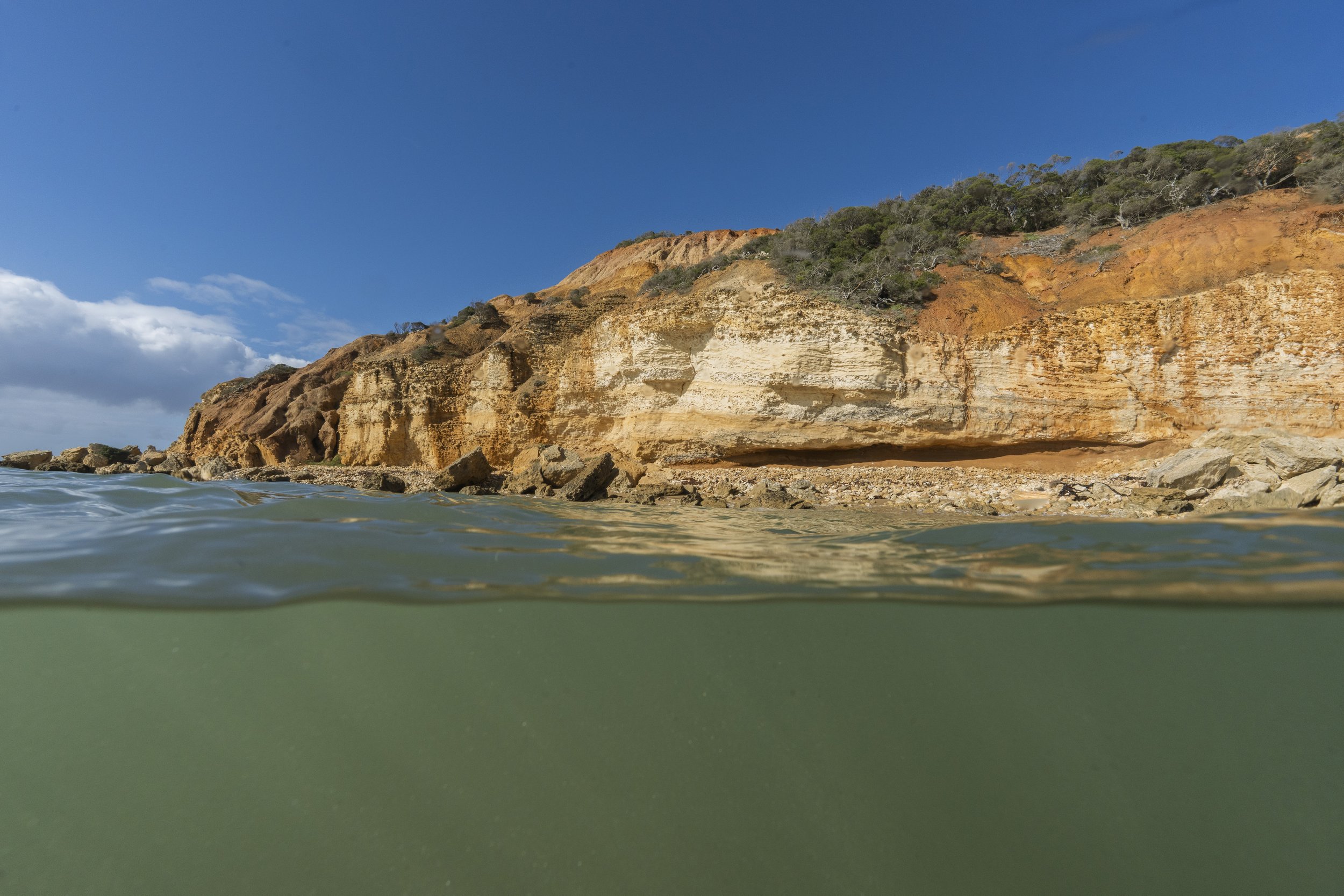 Surfcoast Seascape-57.jpg