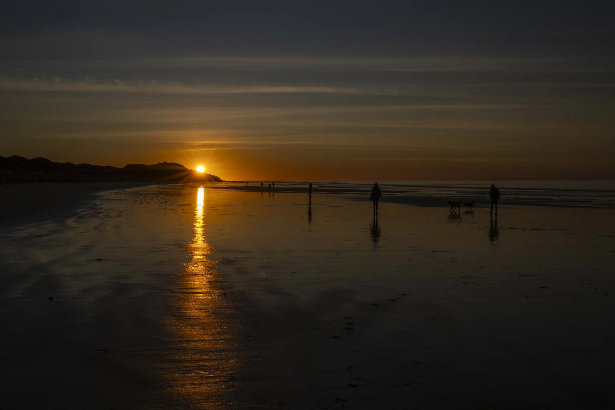 SCLandscape-18.jpg