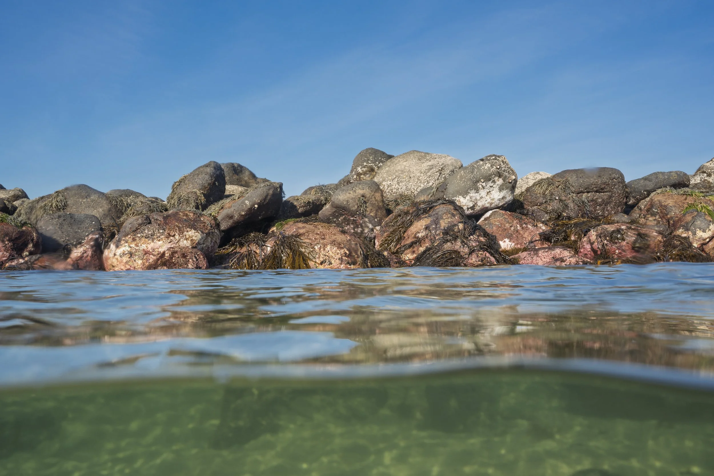 Surfcoast Seascape-61.jpg