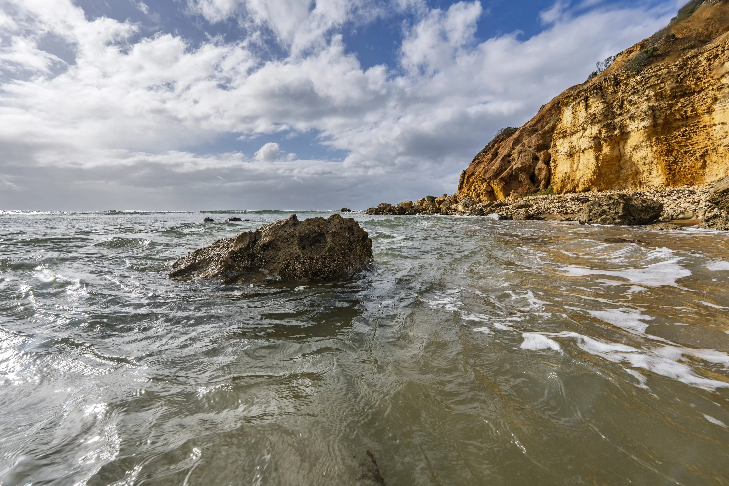 Surfcoast Seascape-51.jpg