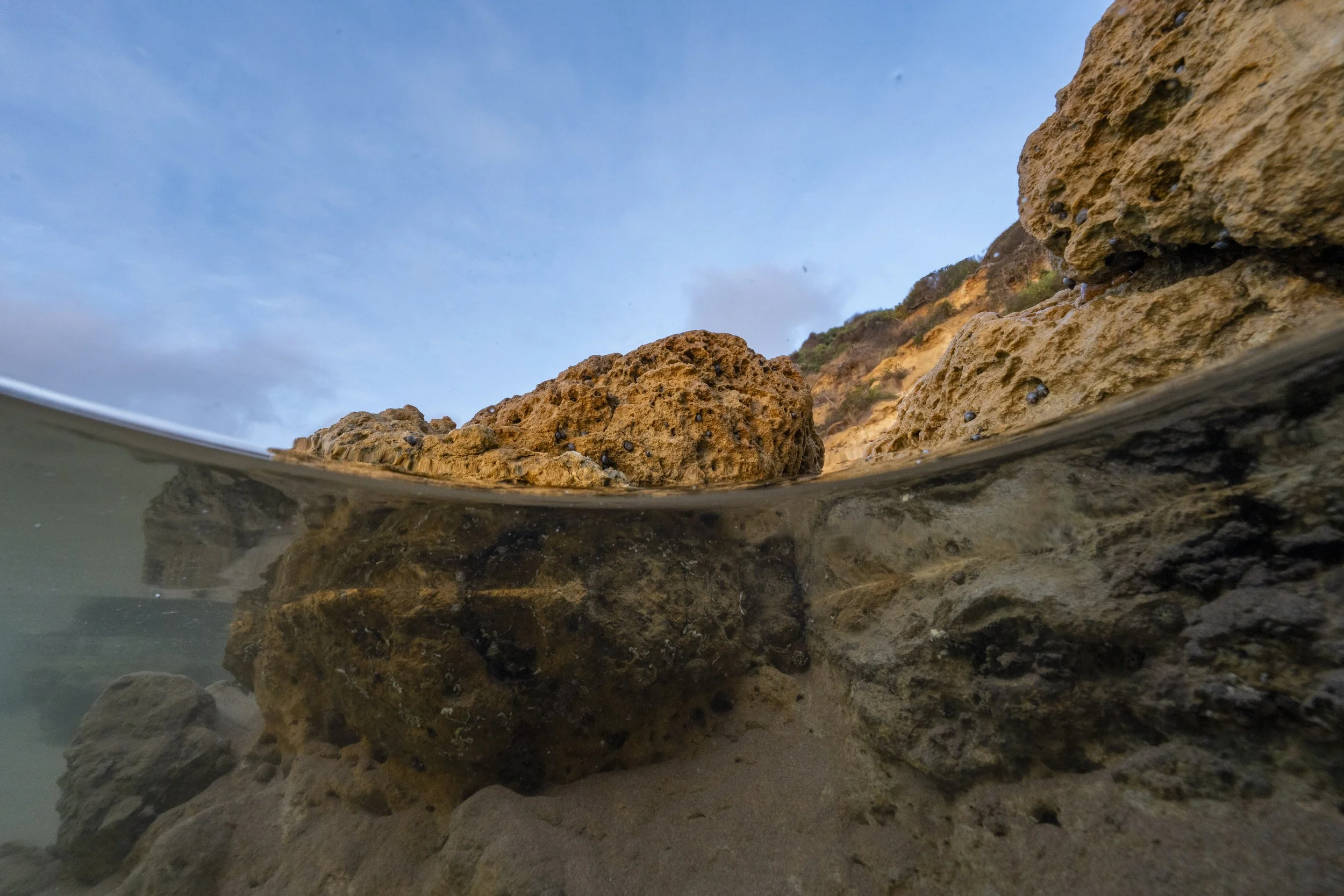 Surfcoast Seascape-27.jpg