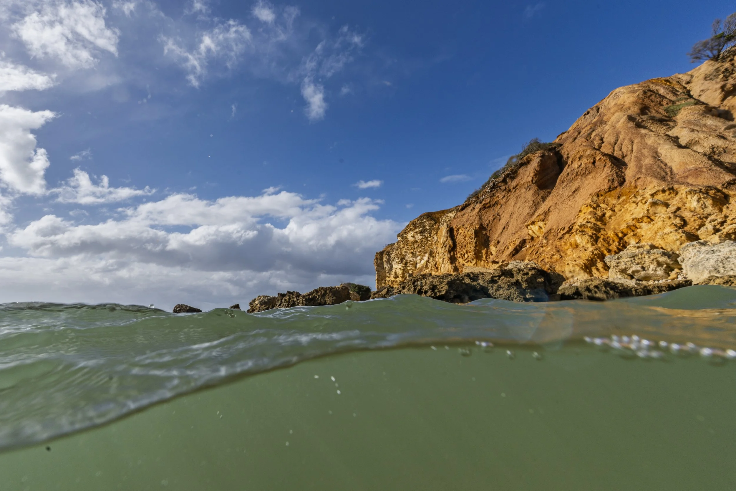 Surfcoast Seascape-54.jpg