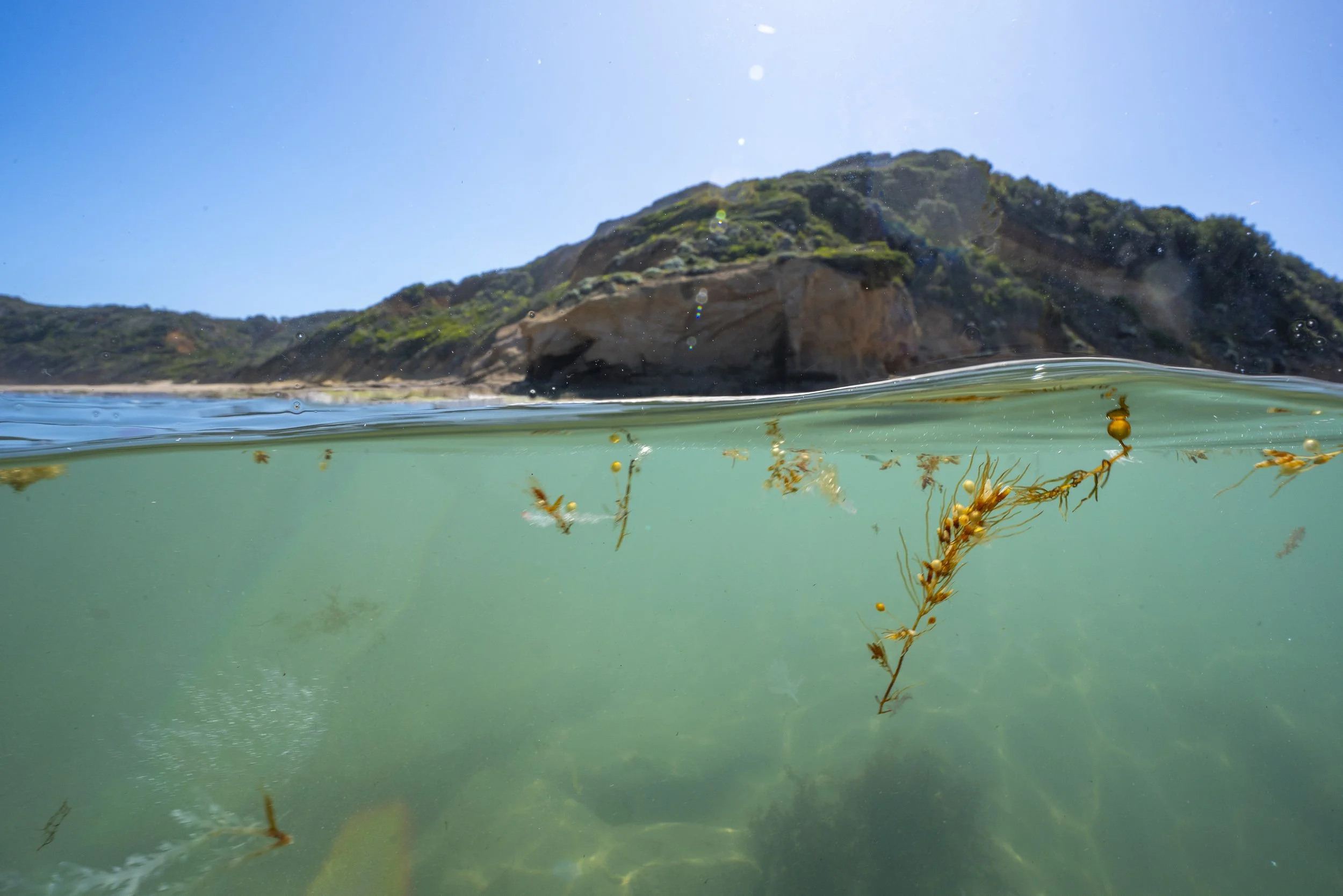 Surfcoast Seascape-7.jpg