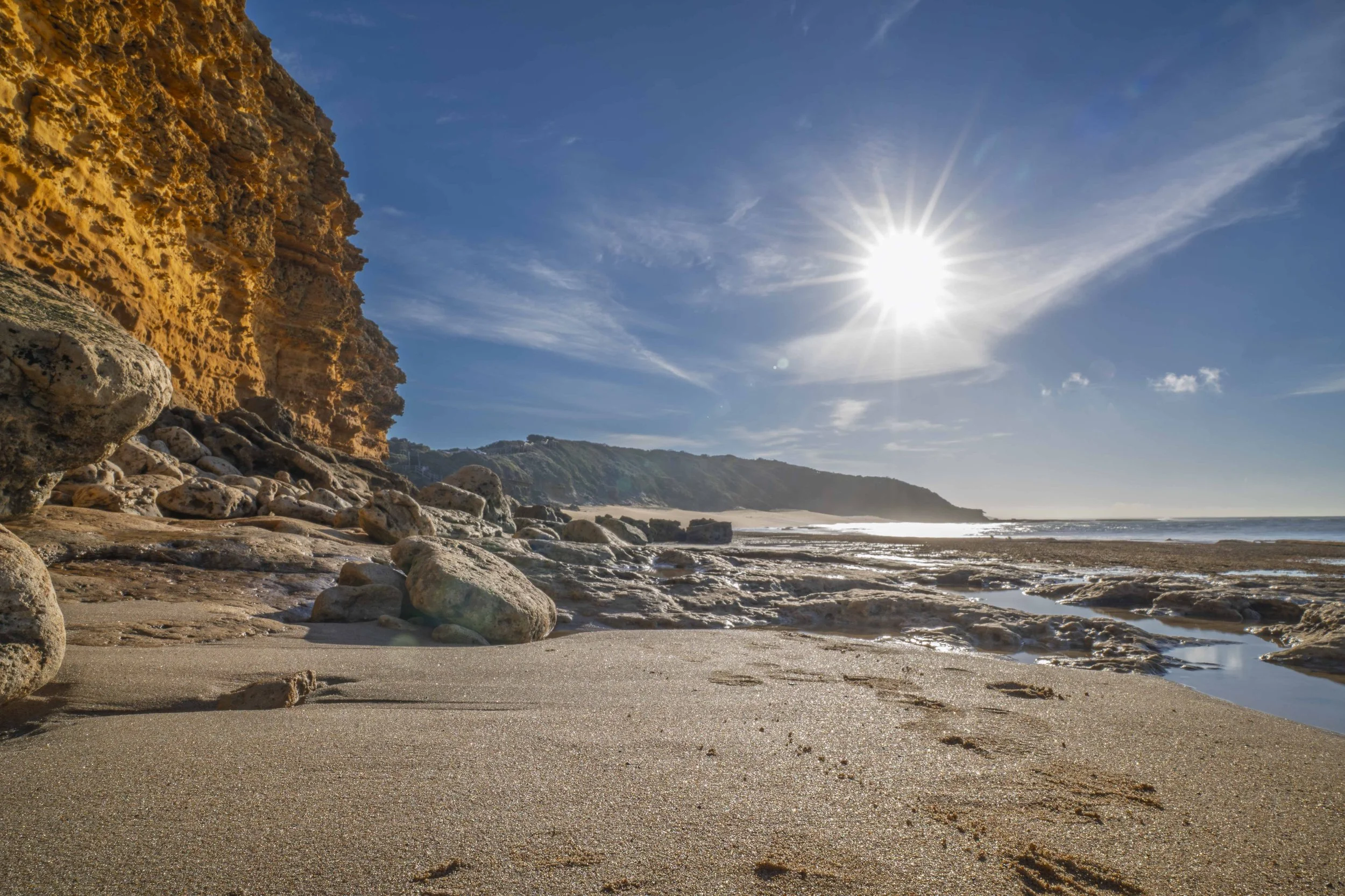 SCLandscape-31.jpg
