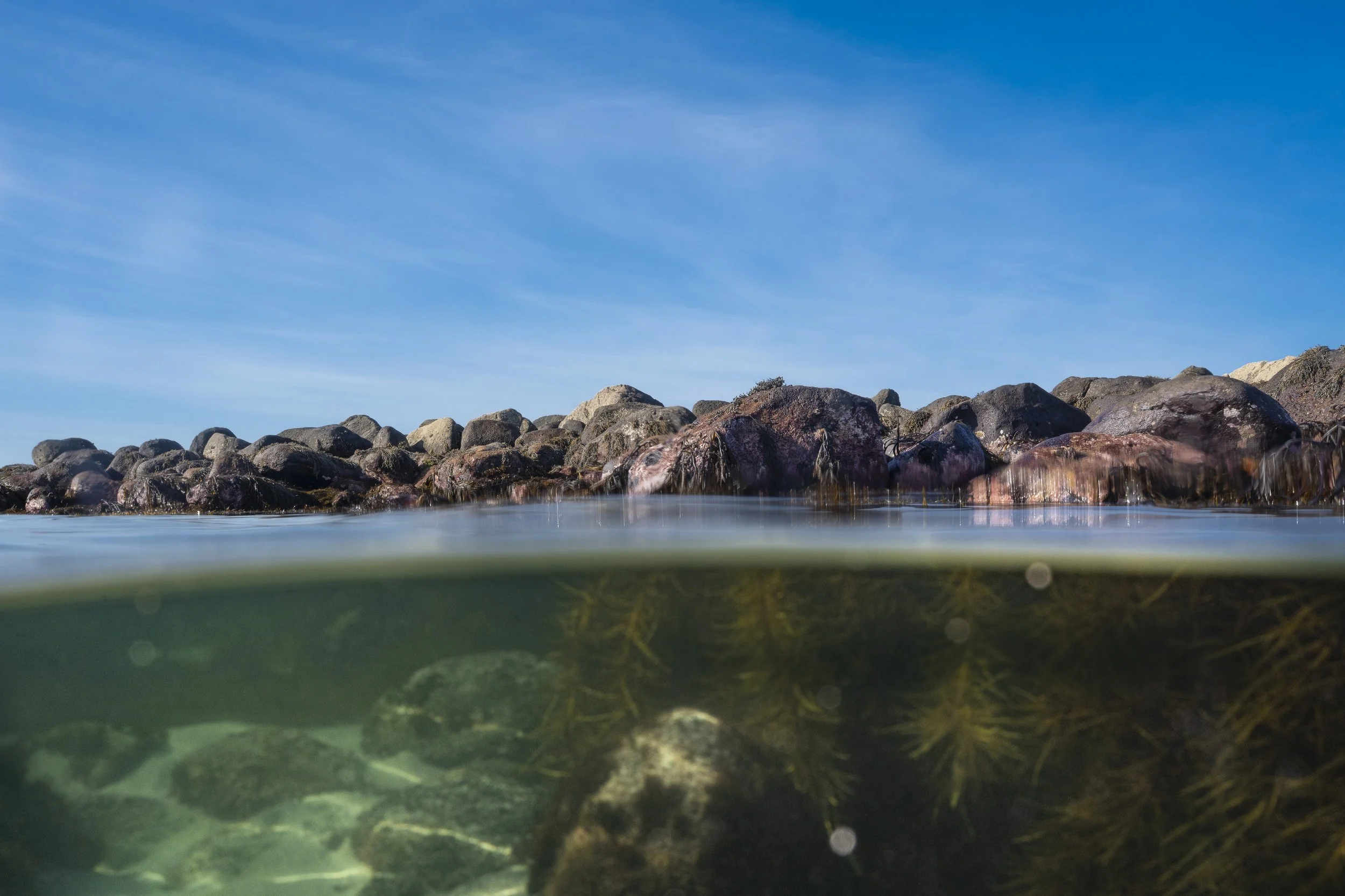 Surfcoast Seascape-62.jpg